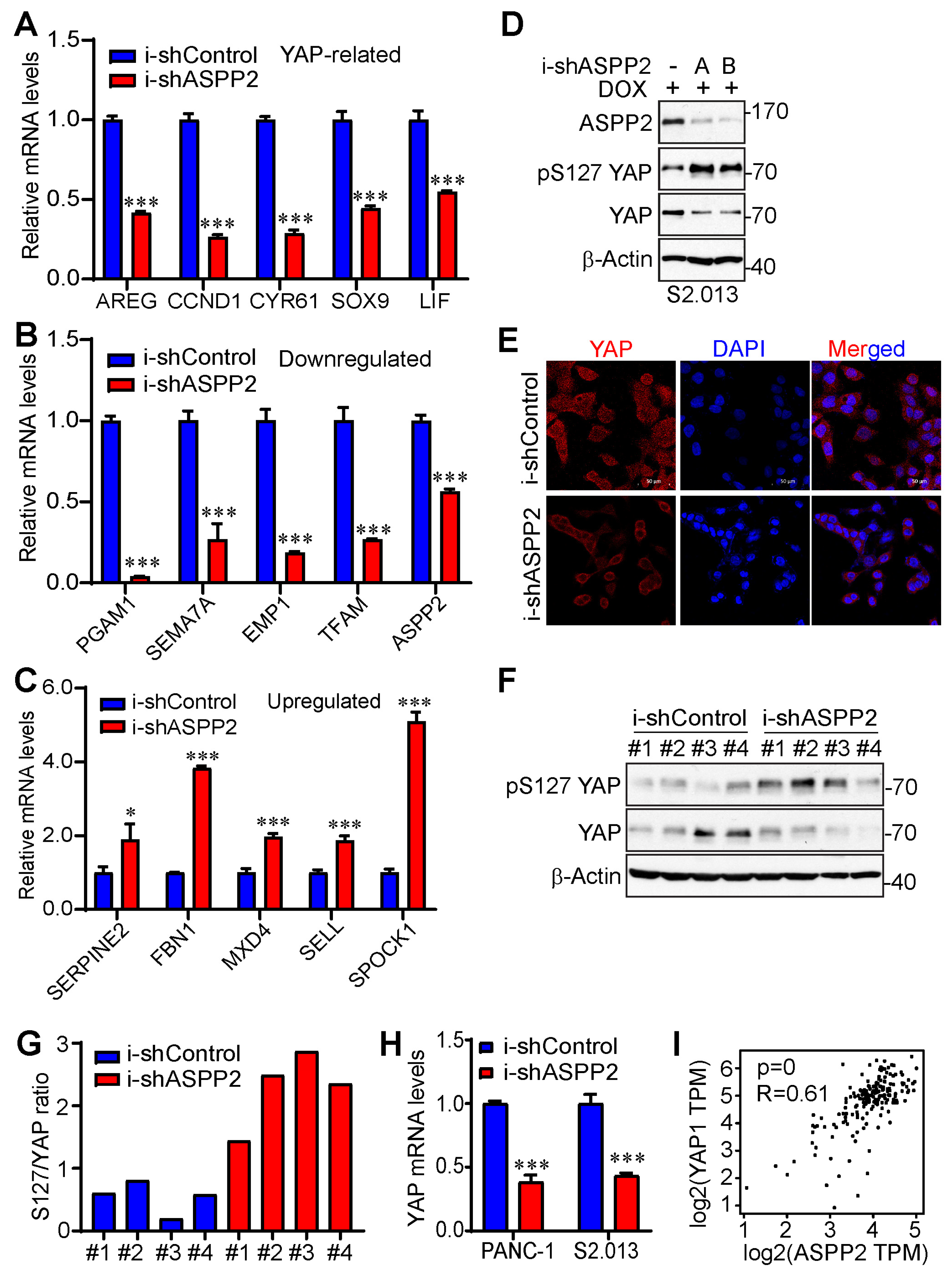 Cancers 15 05424 g006