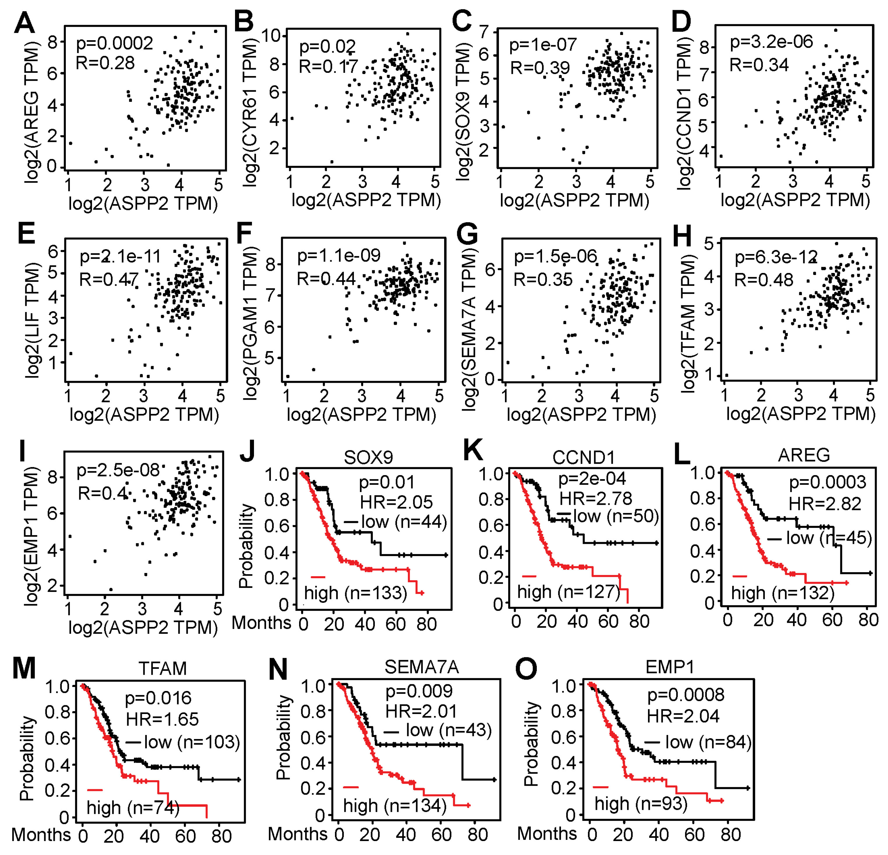 Cancers 15 05424 g007