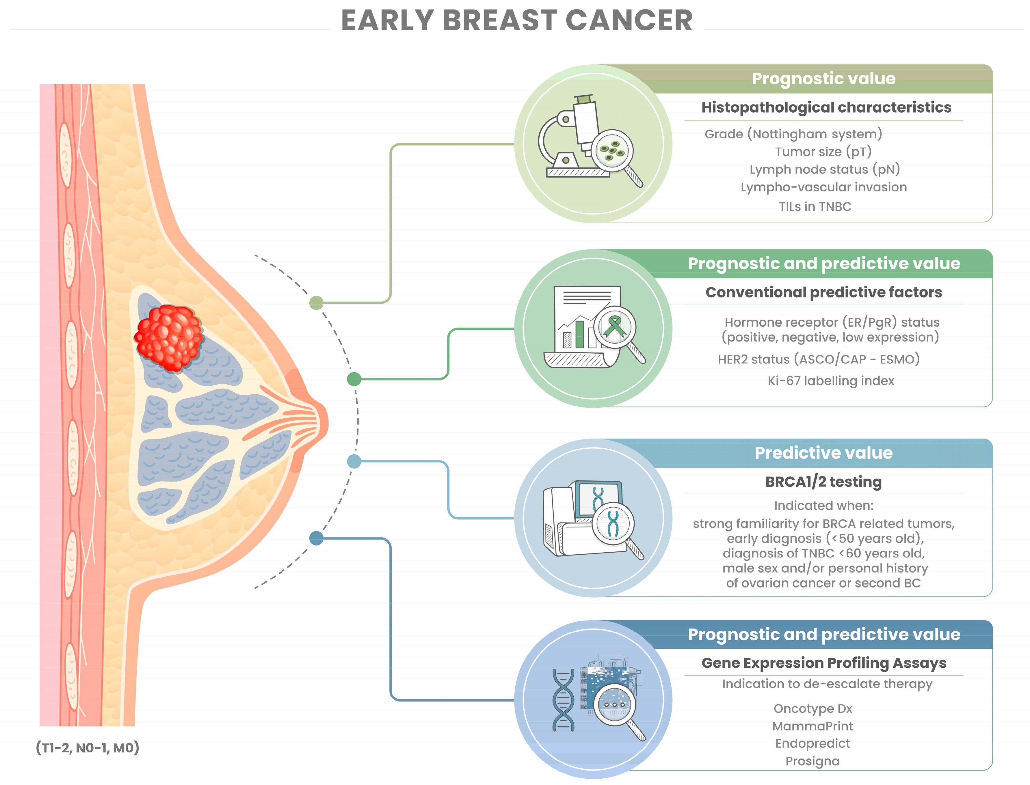 健康・医学 Preneoplasia of the Breast Breast Cancer Treatment and Pregnancy (PDQ®) - PDQ Cancer