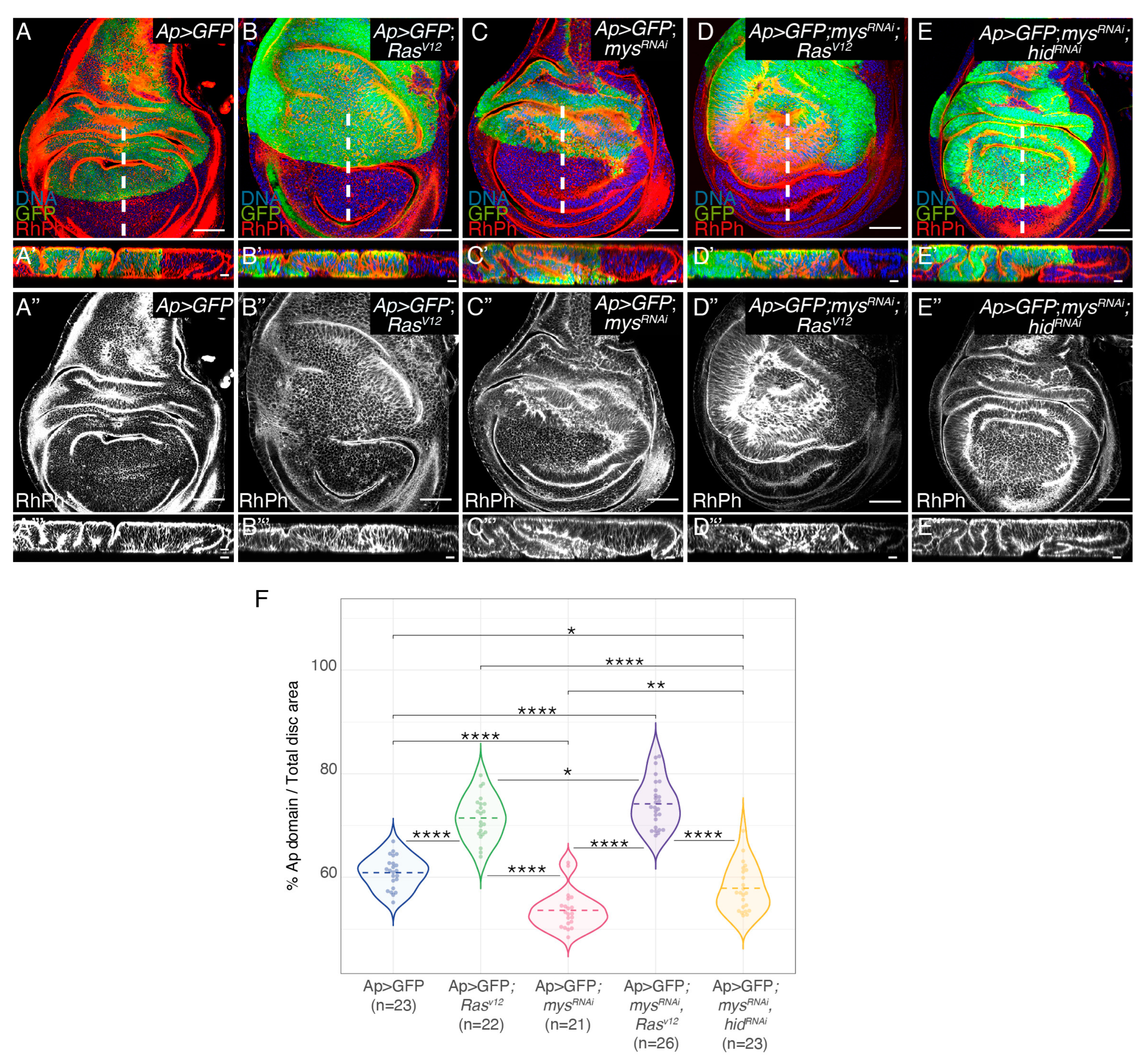 Cancers 15 05432 g001