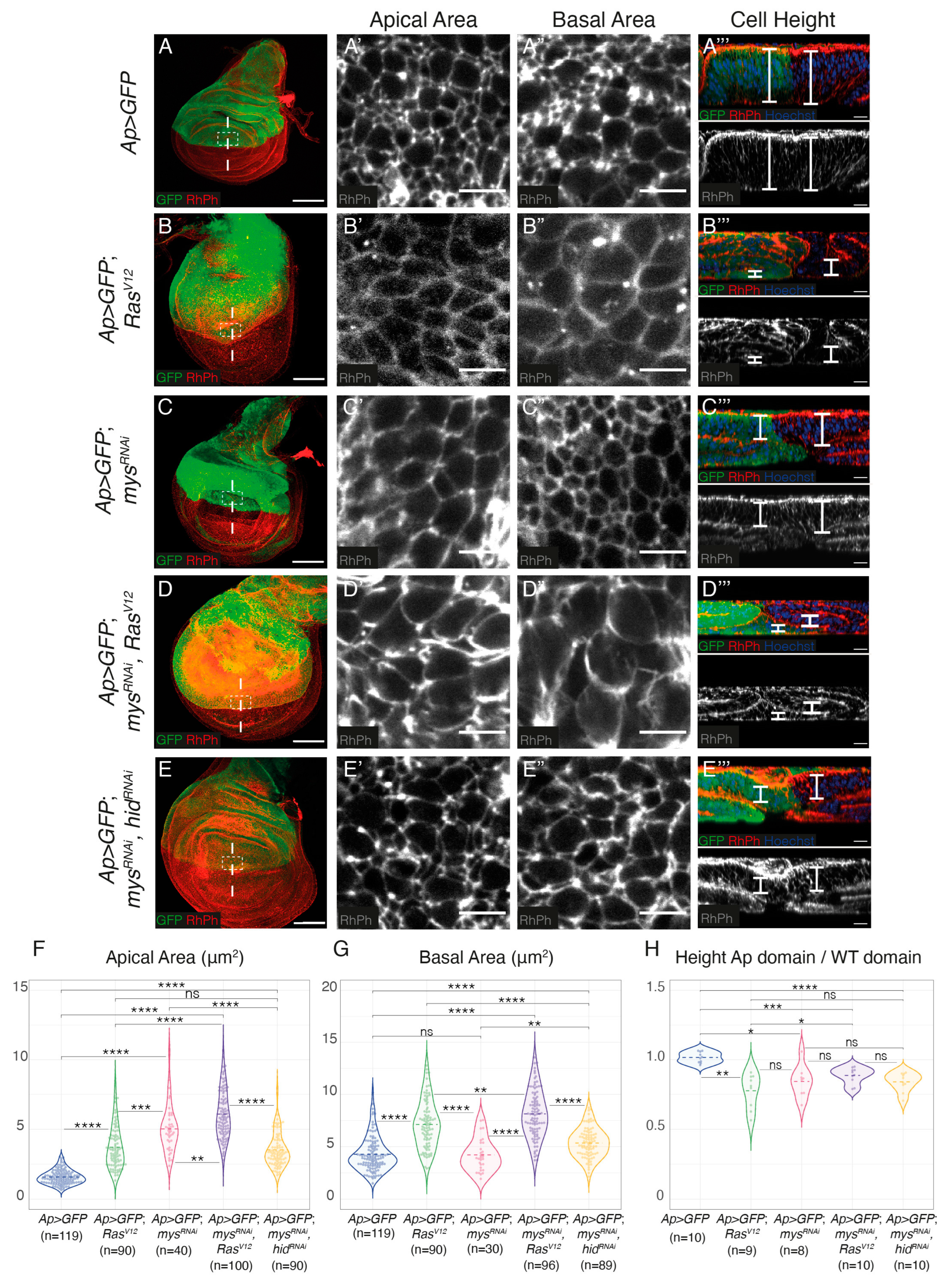 Cancers 15 05432 g003