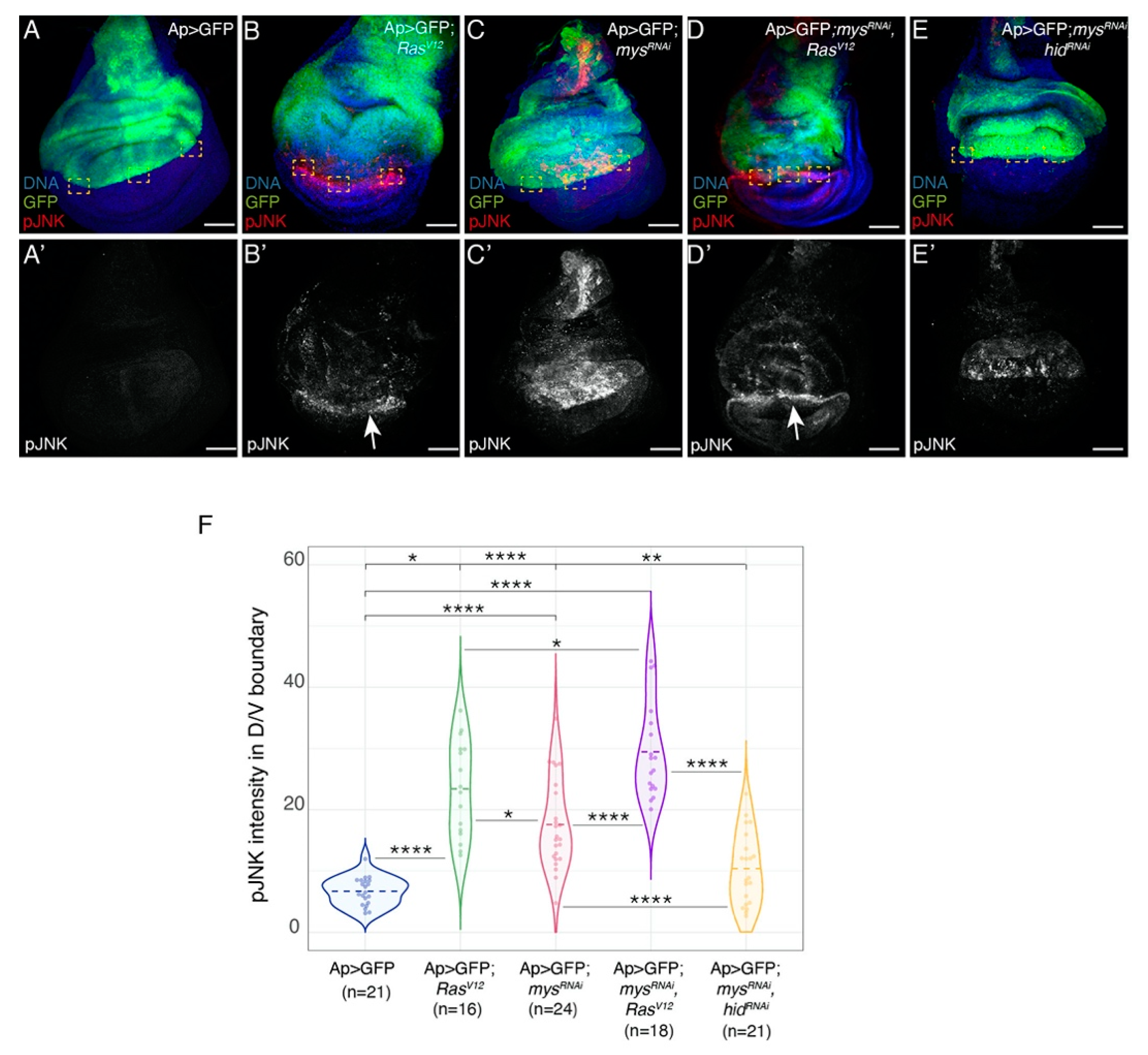 Cancers 15 05432 g005