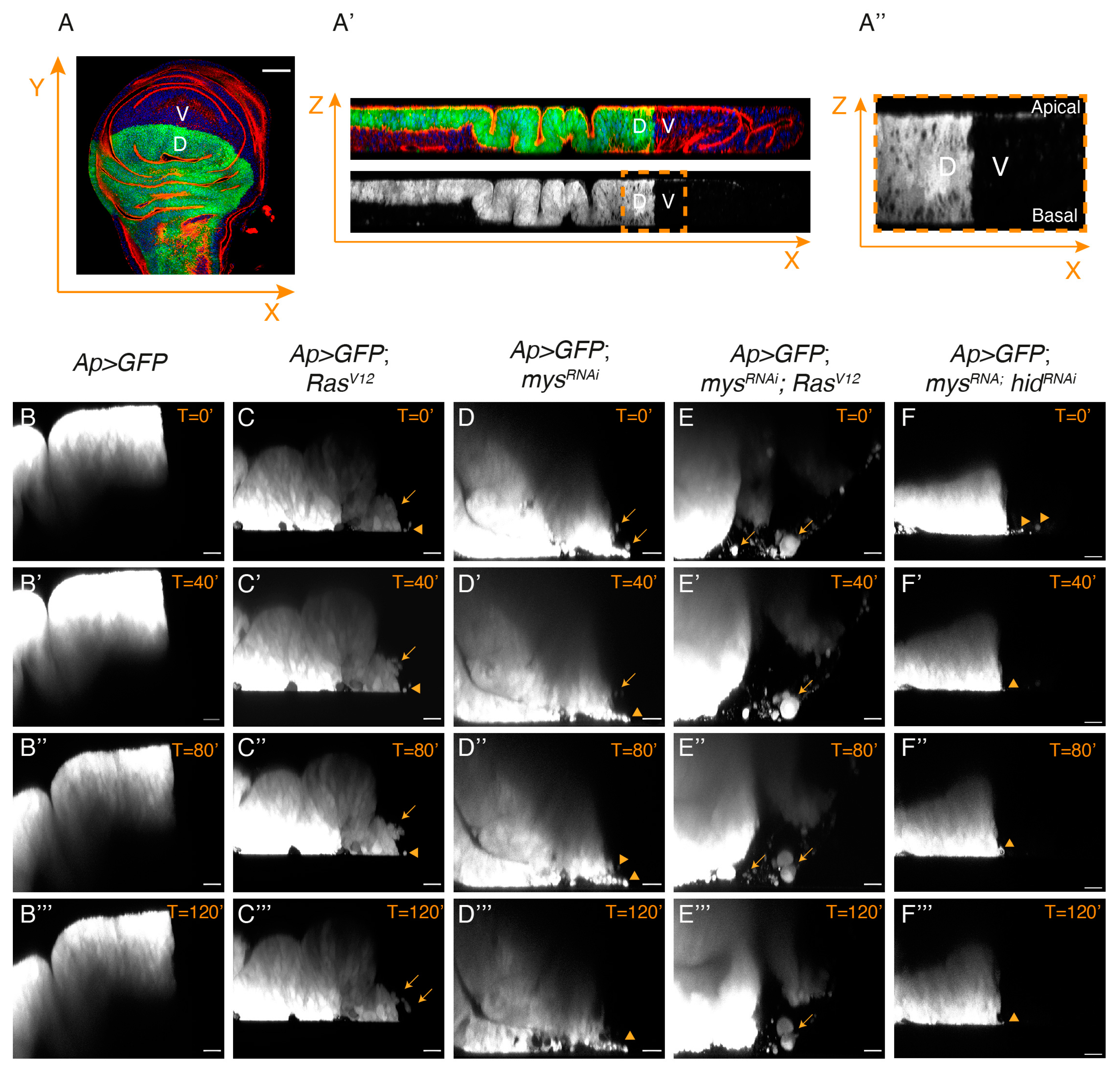 Cancers 15 05432 g007