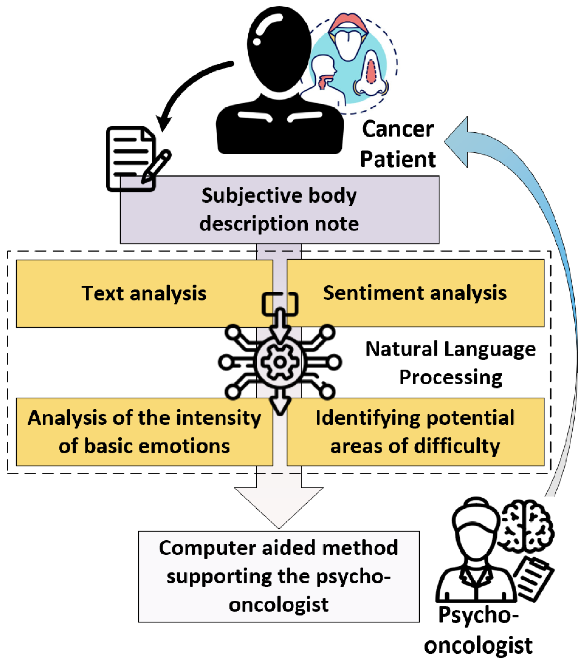 Cancers 15 05437 g001