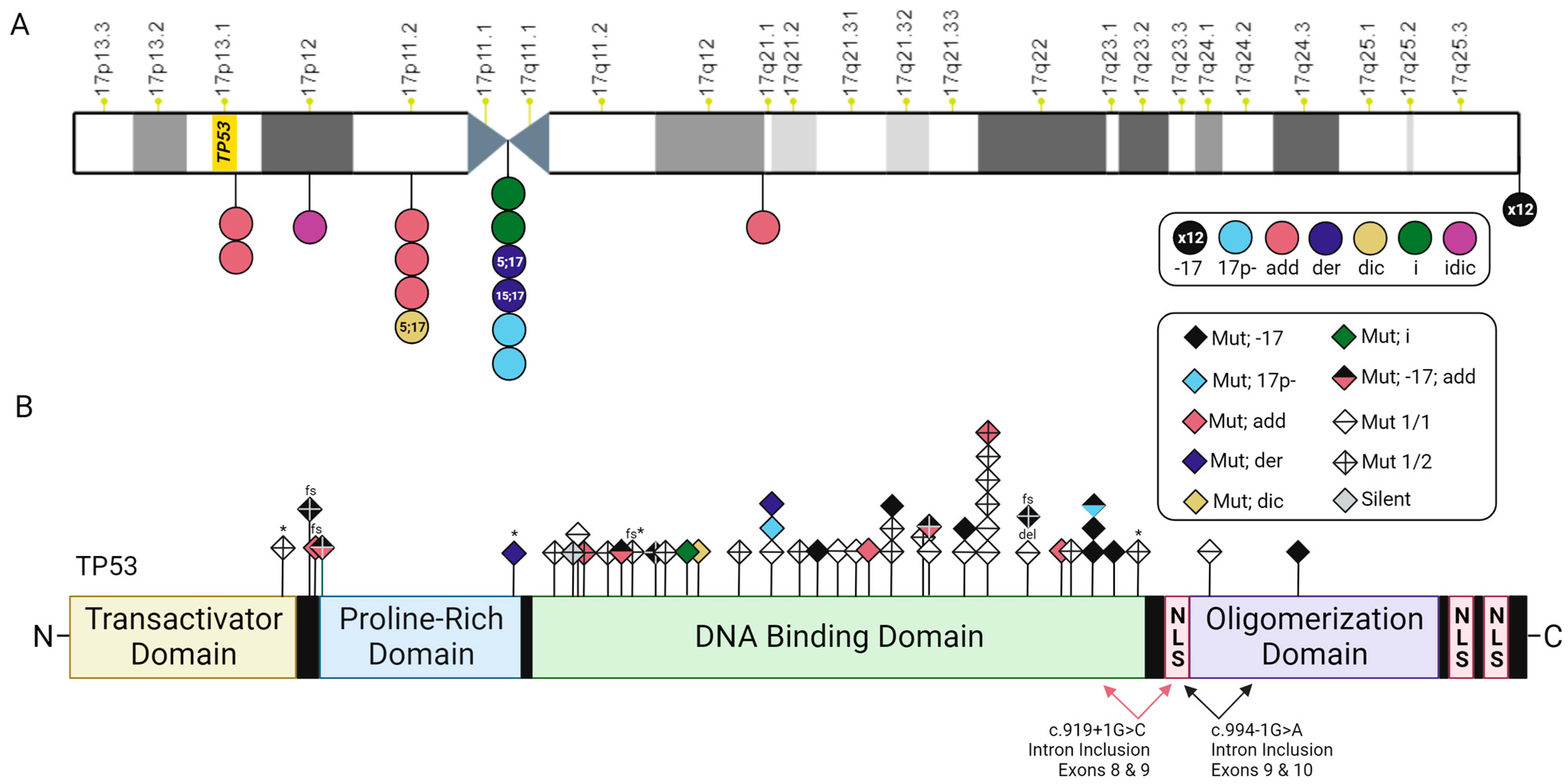 Cancers 15 05439 g004
