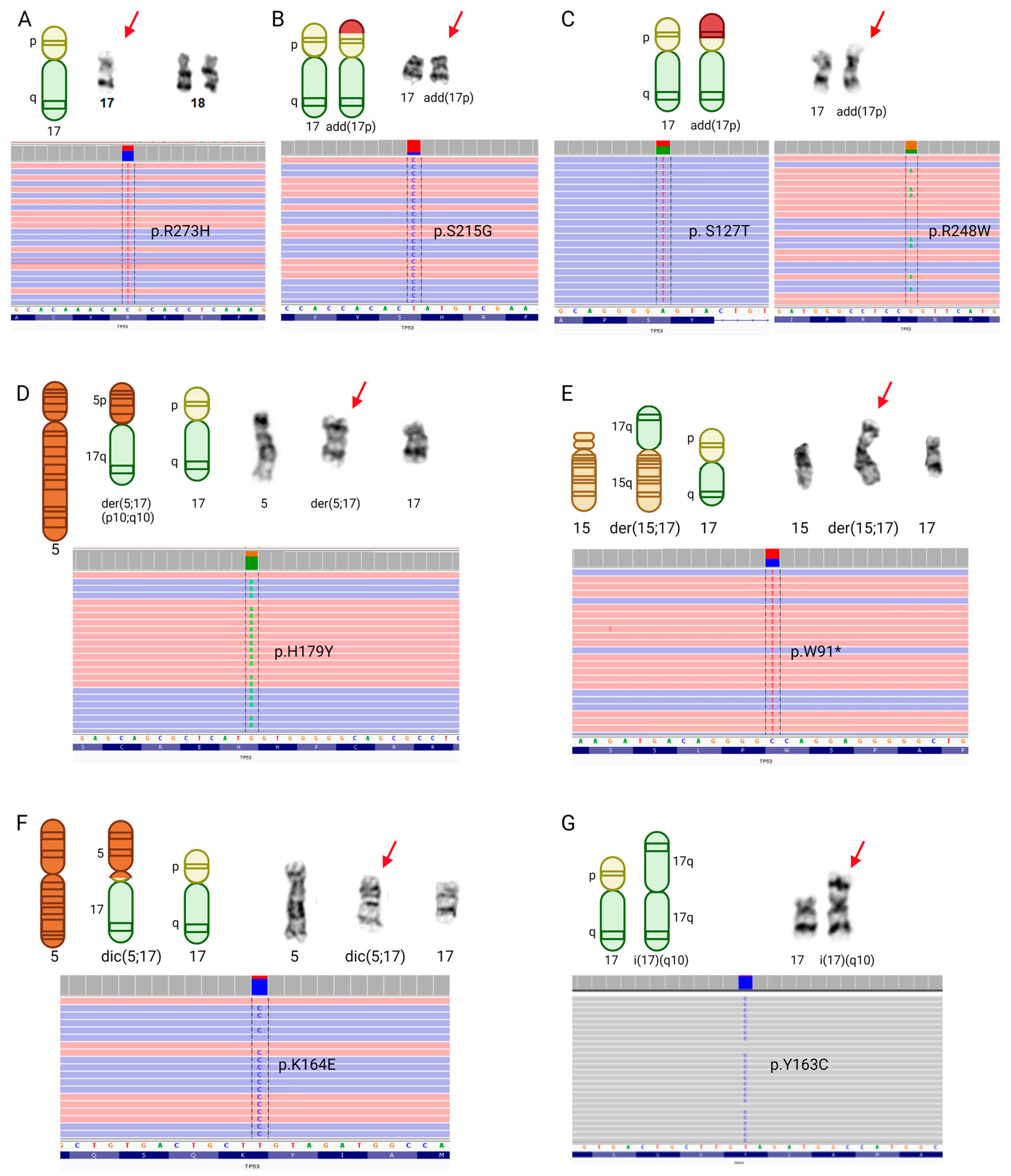 Cancers 15 05439 g005