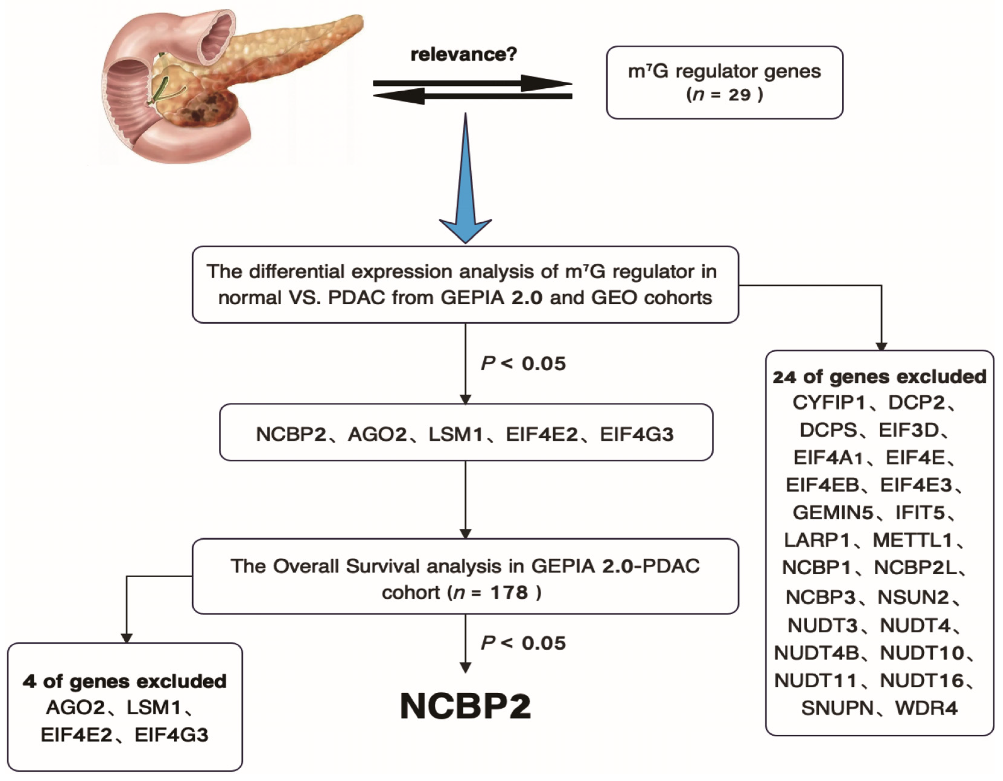 Cancers 15 05454 g001