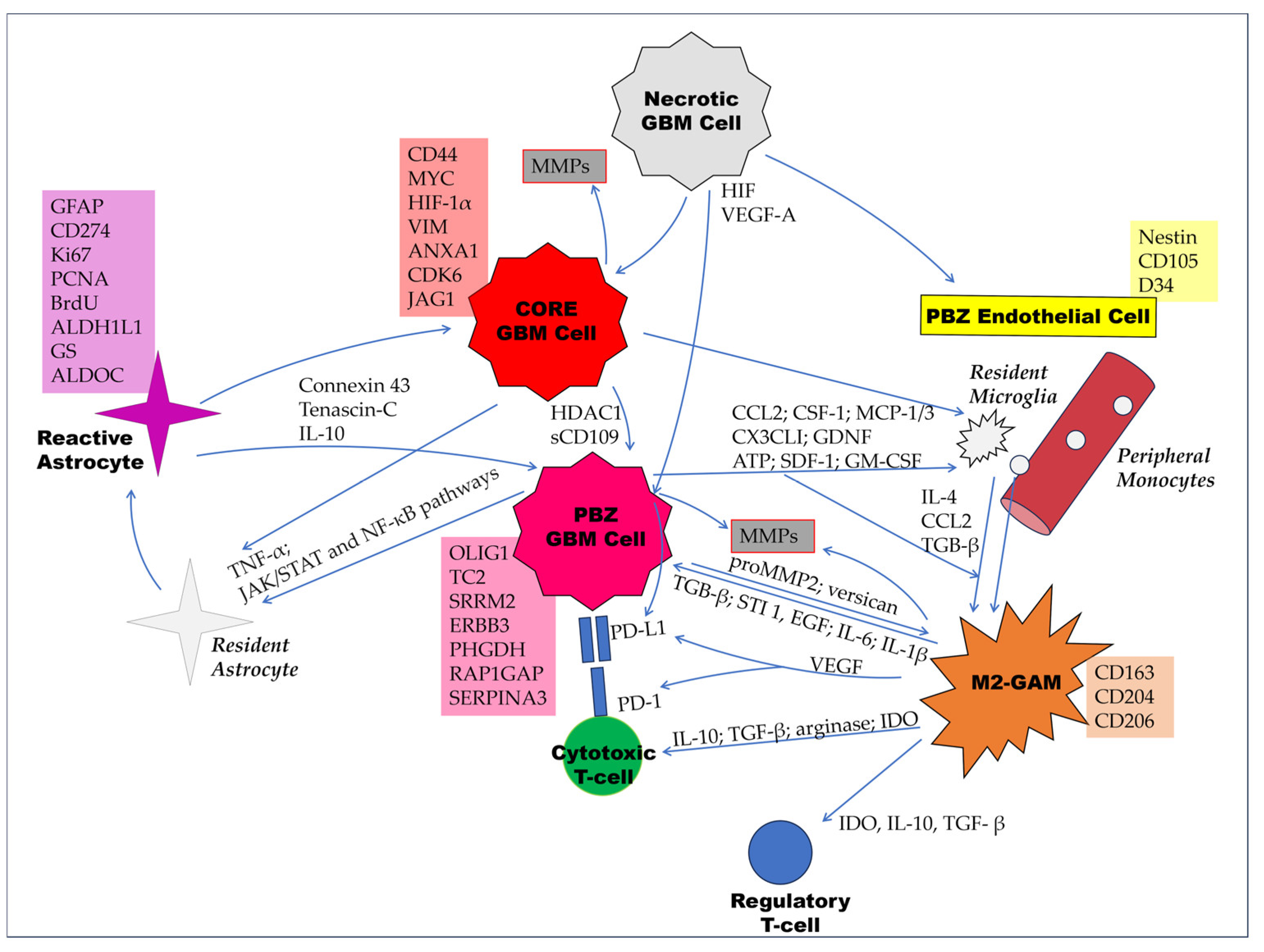 Cancers 15 05460 g003 Cancers 15 05460 g003