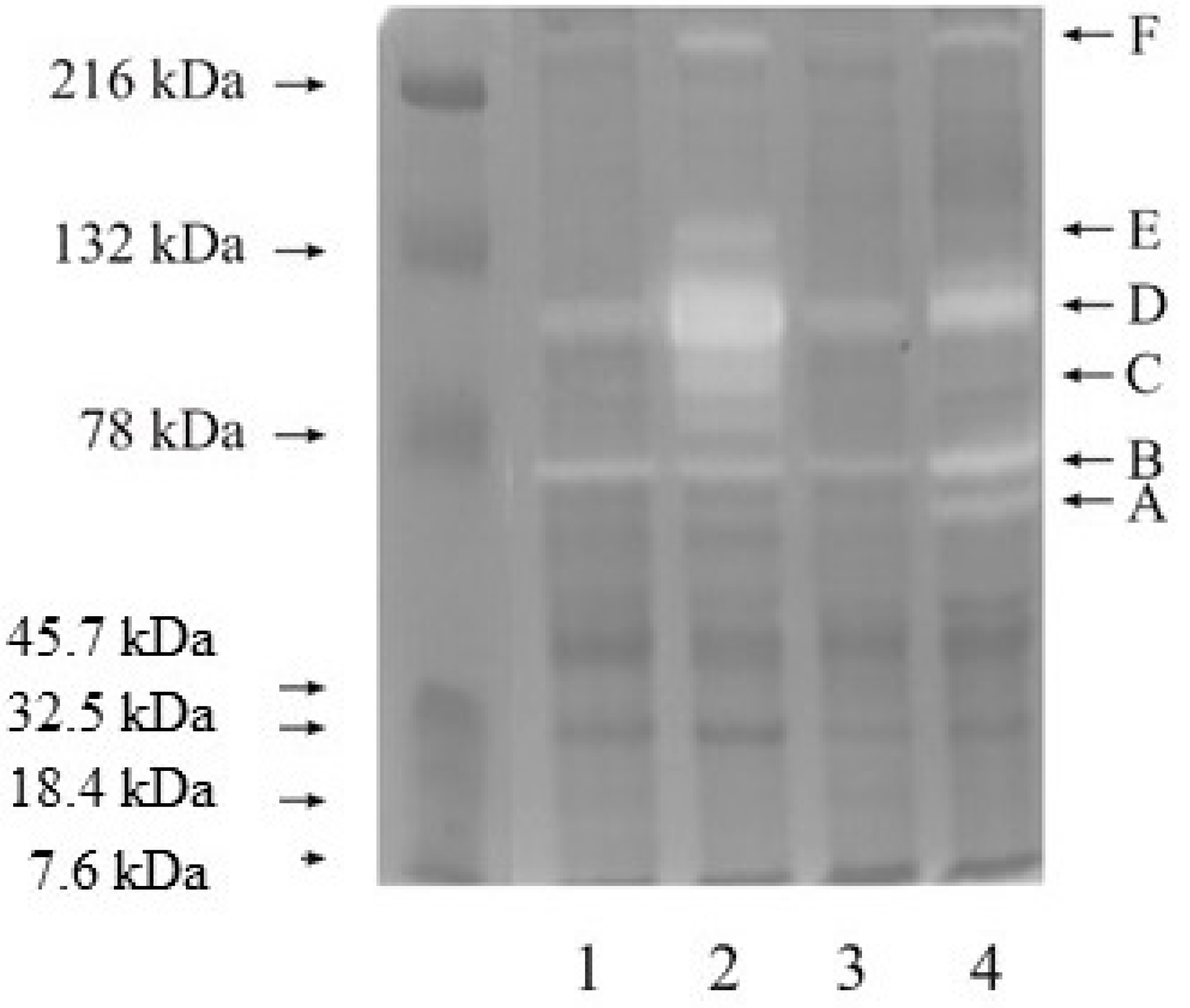 Cancers 15 05475 g001