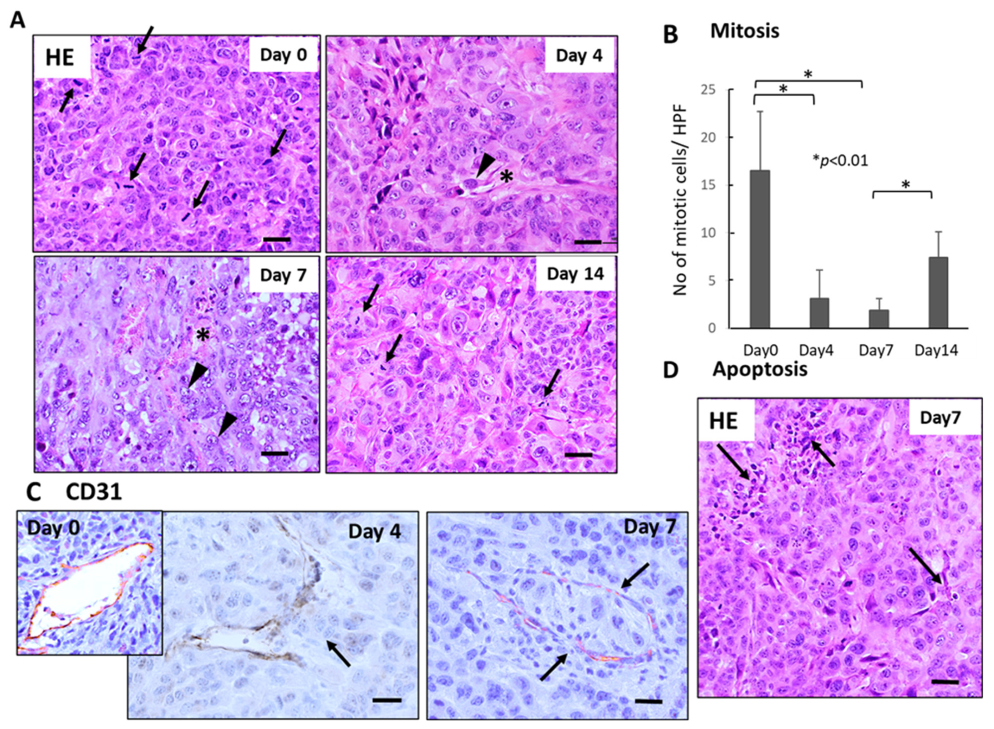 Cancers 15 05482 g002
