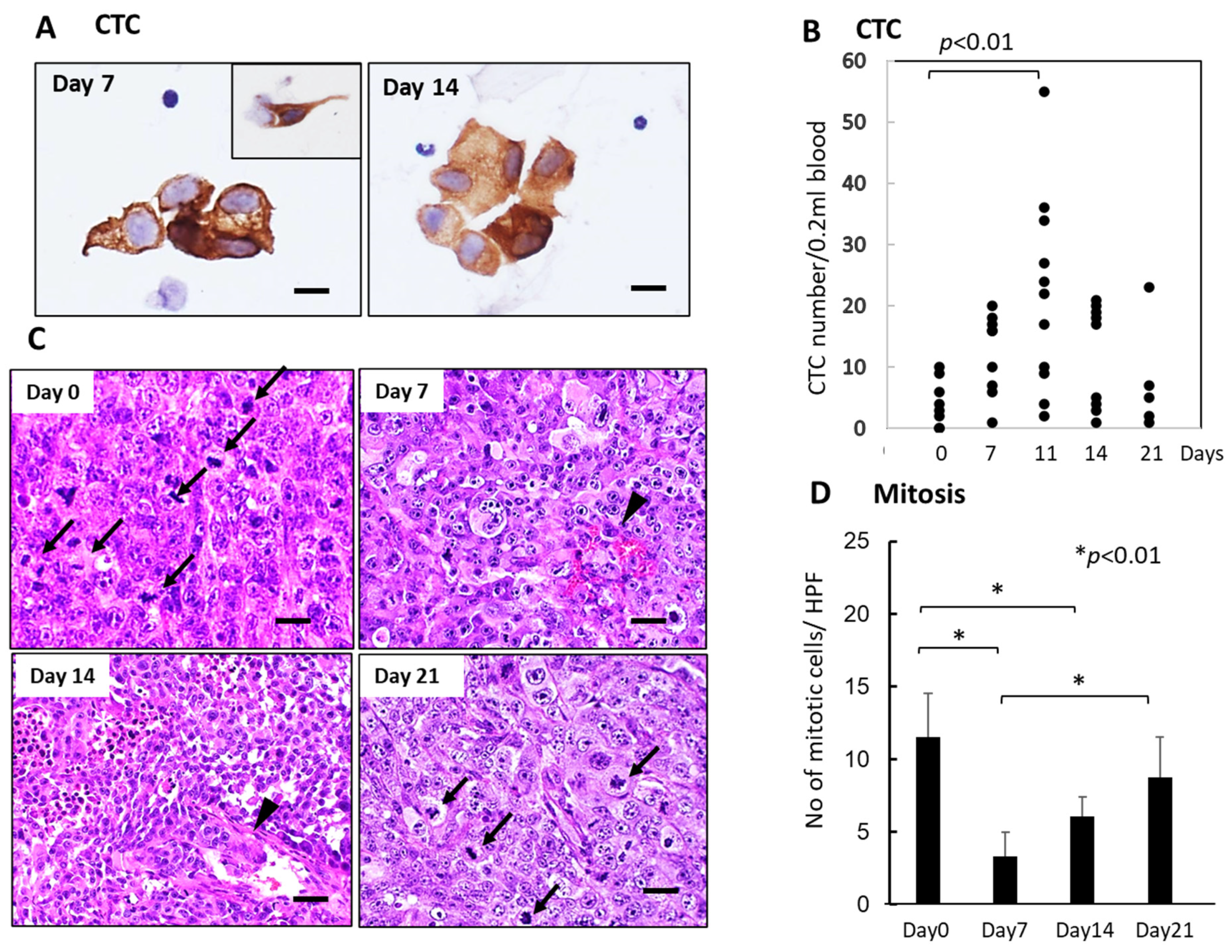 Cancers 15 05482 g004