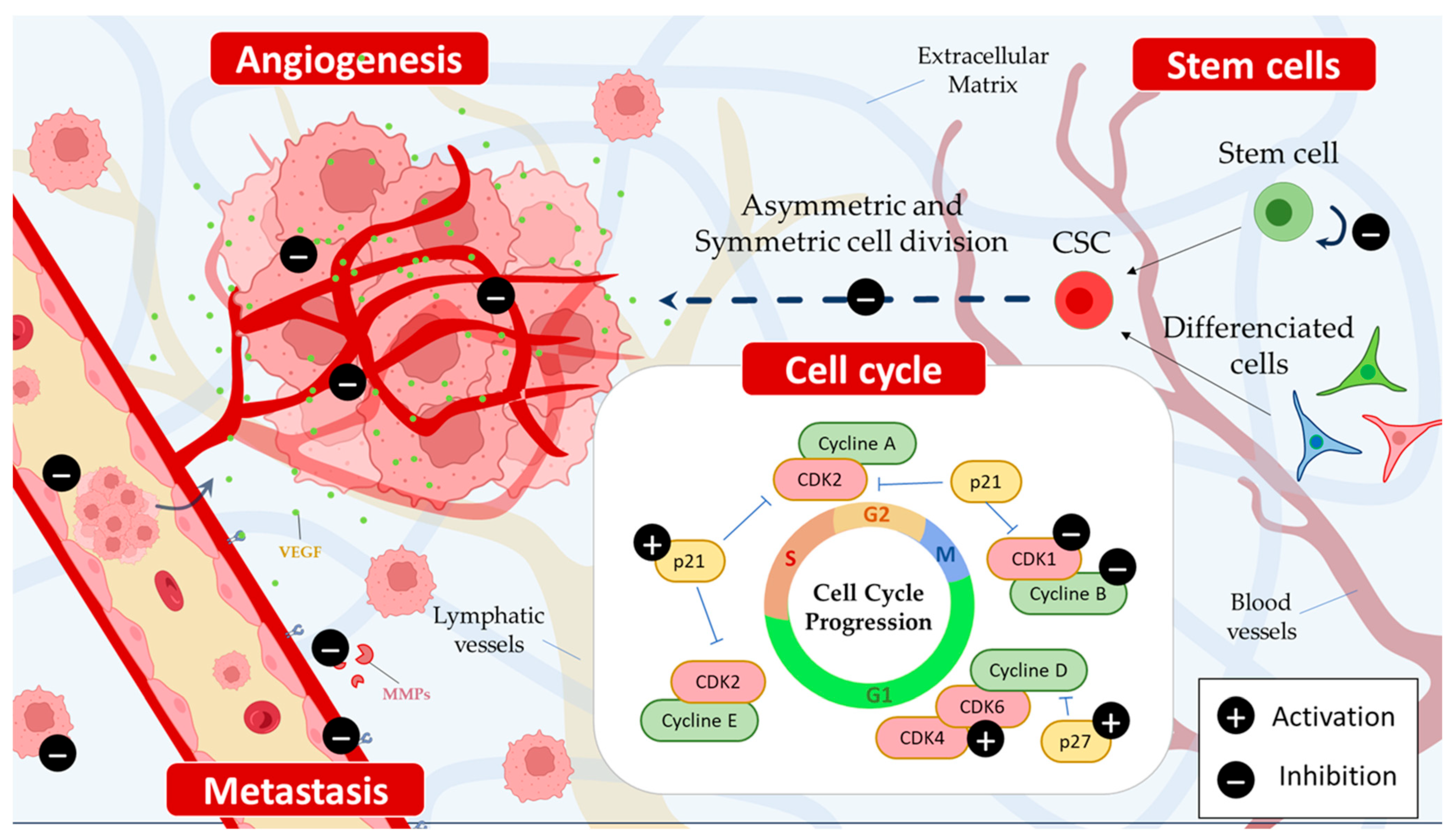 Cancers 15 05488 g004
