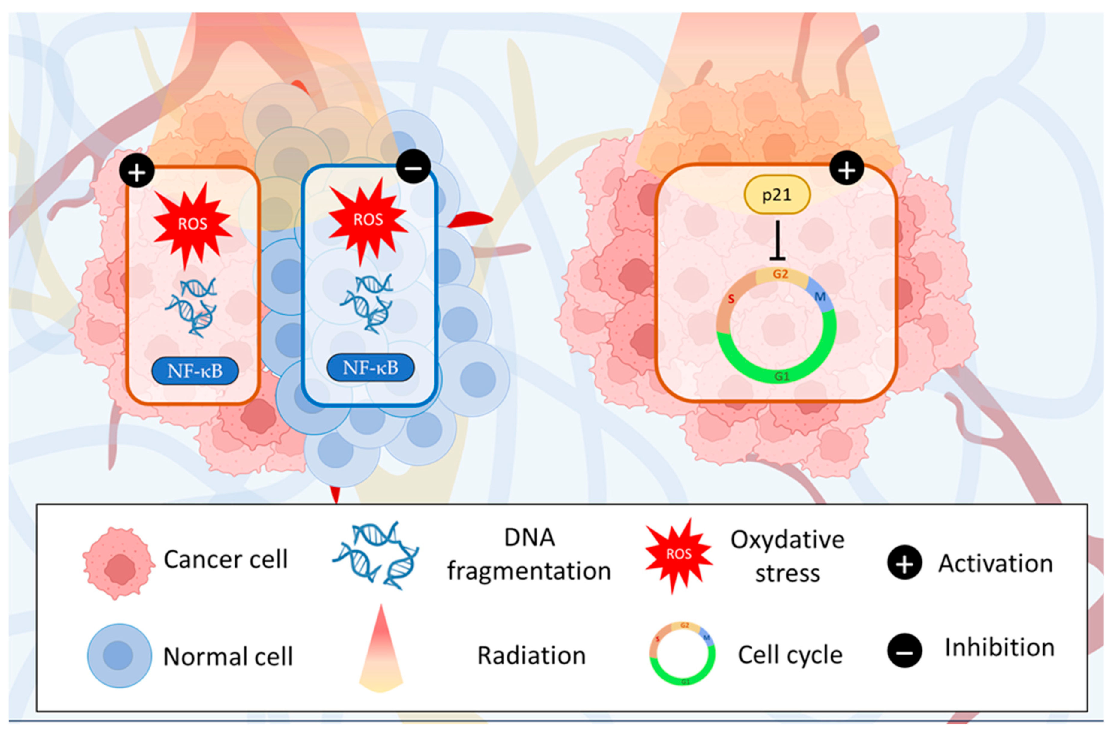 Cancers 15 05488 g005