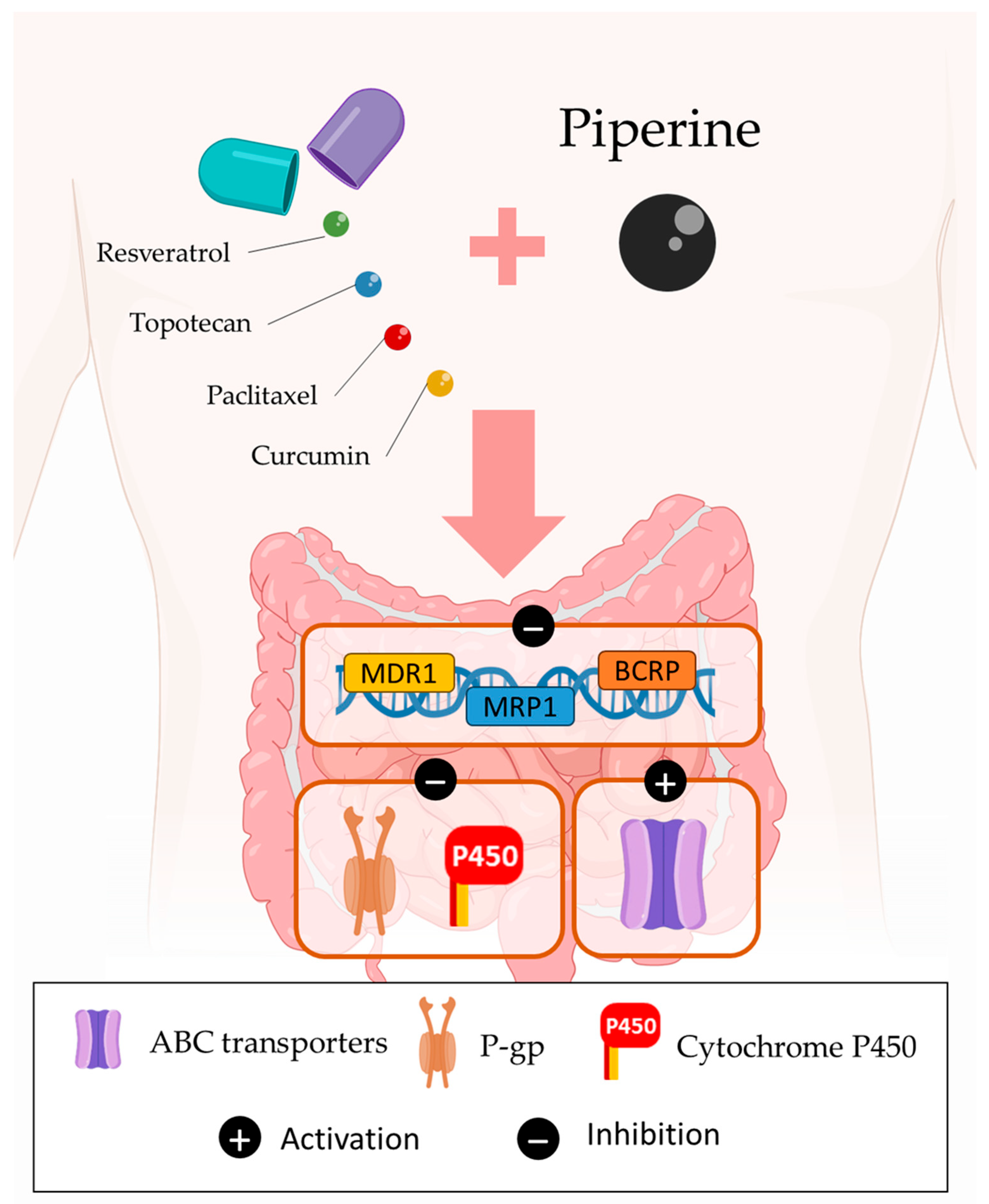 Cancers 15 05488 g006