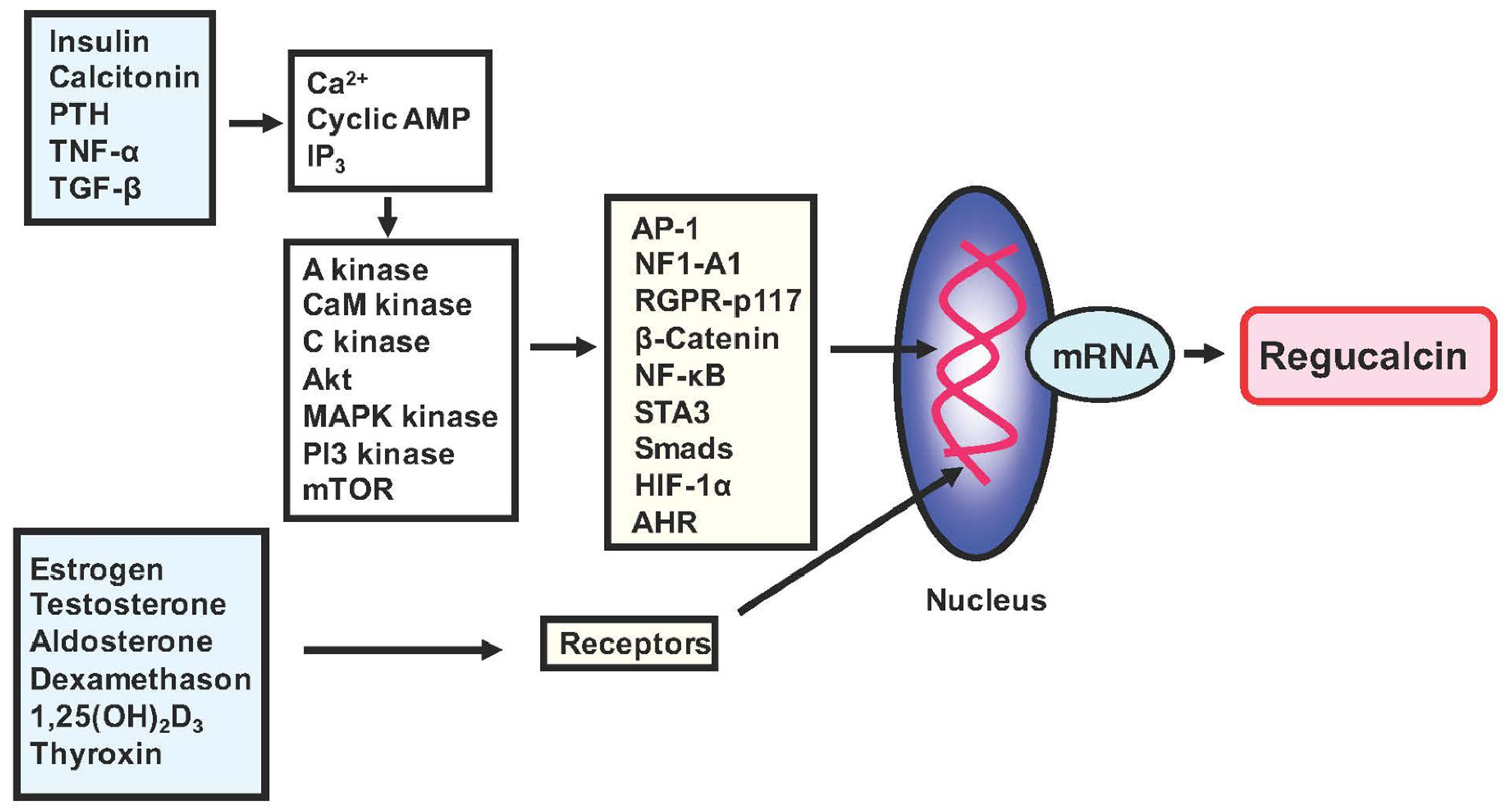 Cancers 15 05489 g001 Cancers 15 05489 g001