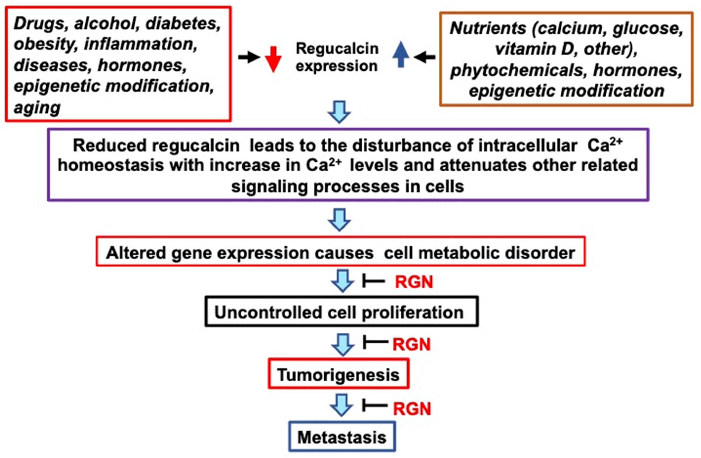 Cancers 15 05489 g005 Cancers 15 05489 g005