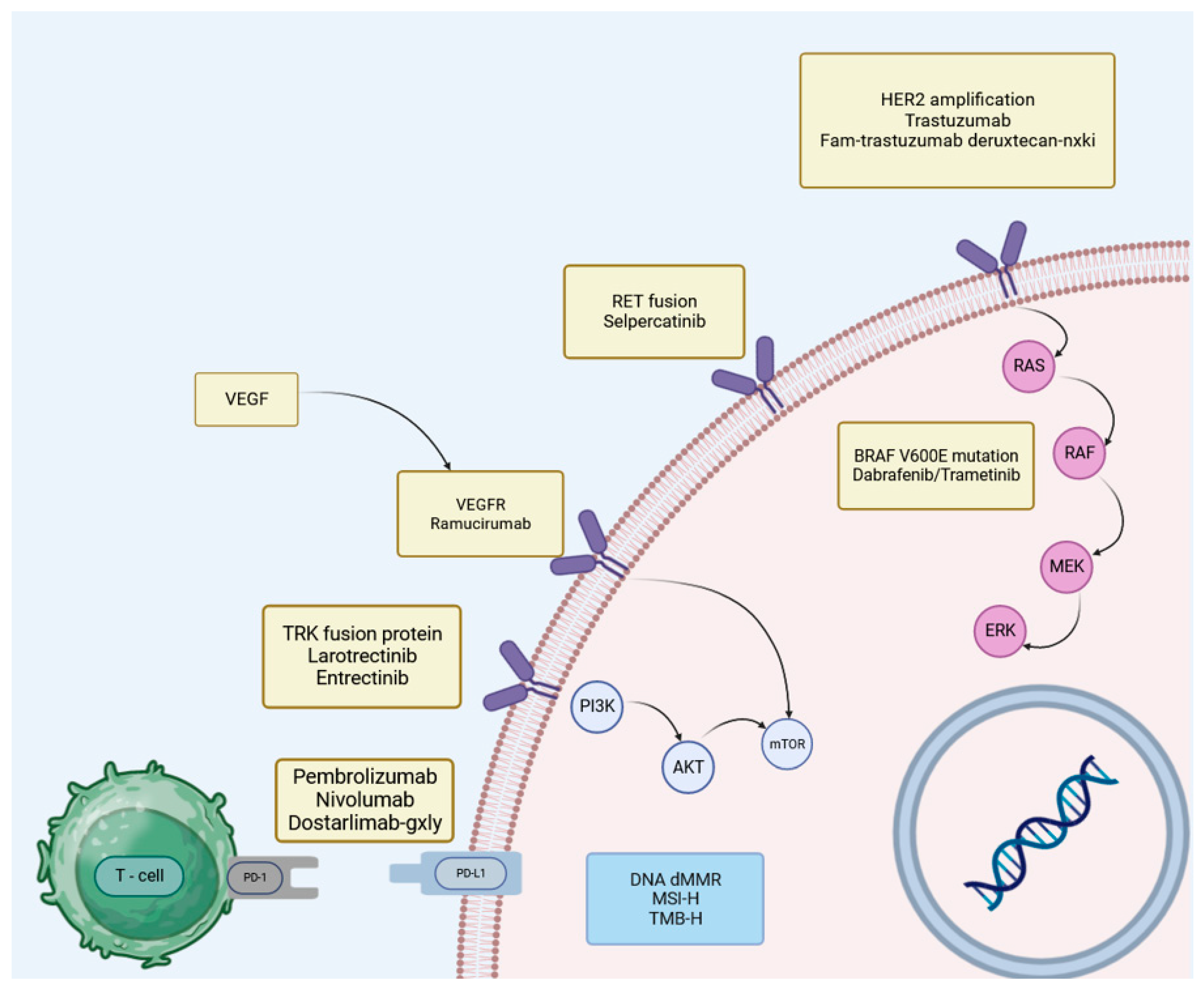 Cancers 15 05490 g002 Cancers 15 05490 g002