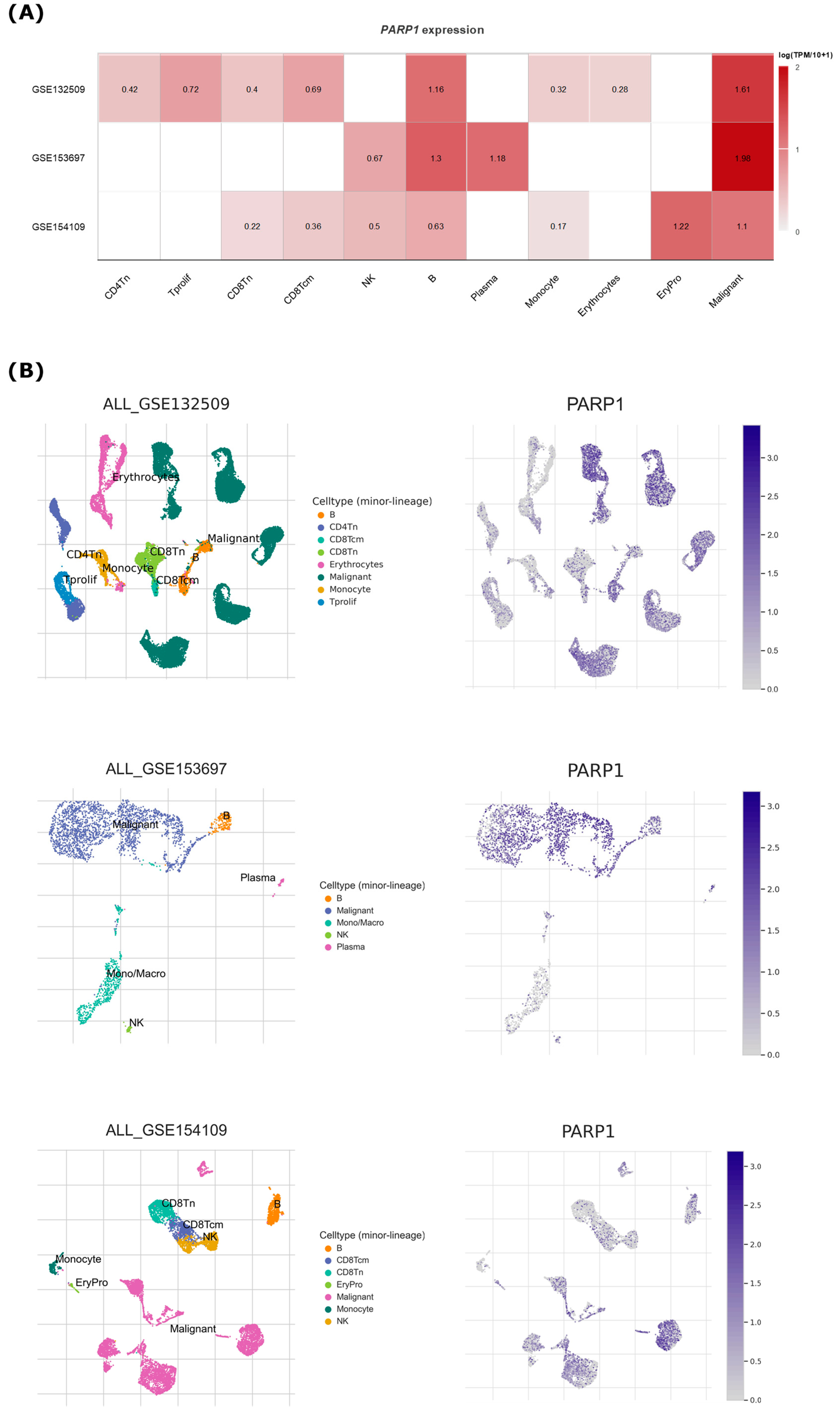 Cancers 15 05510 g009 Cancers 15 05510 g009
