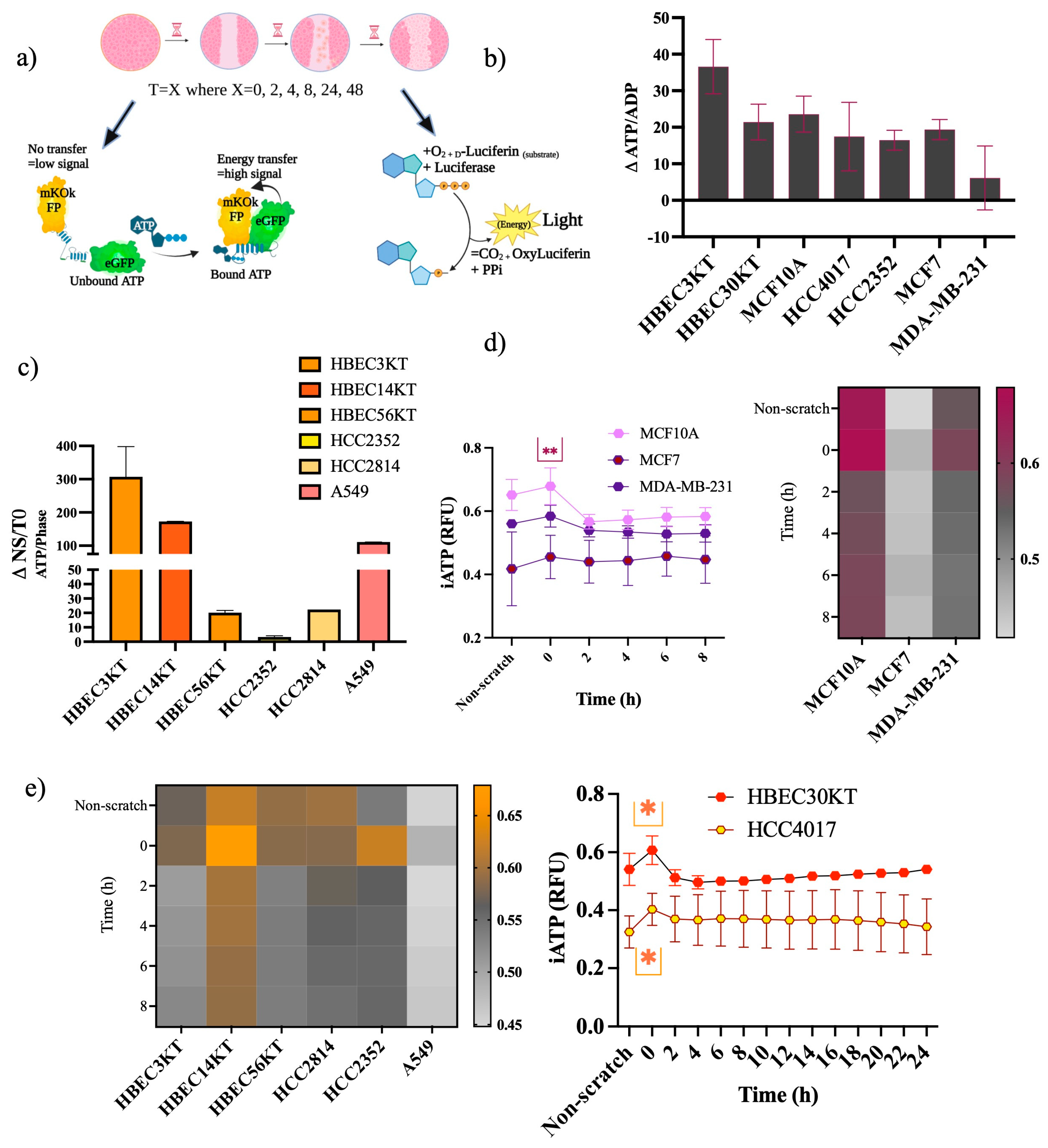 Cancers 15 05519 g005