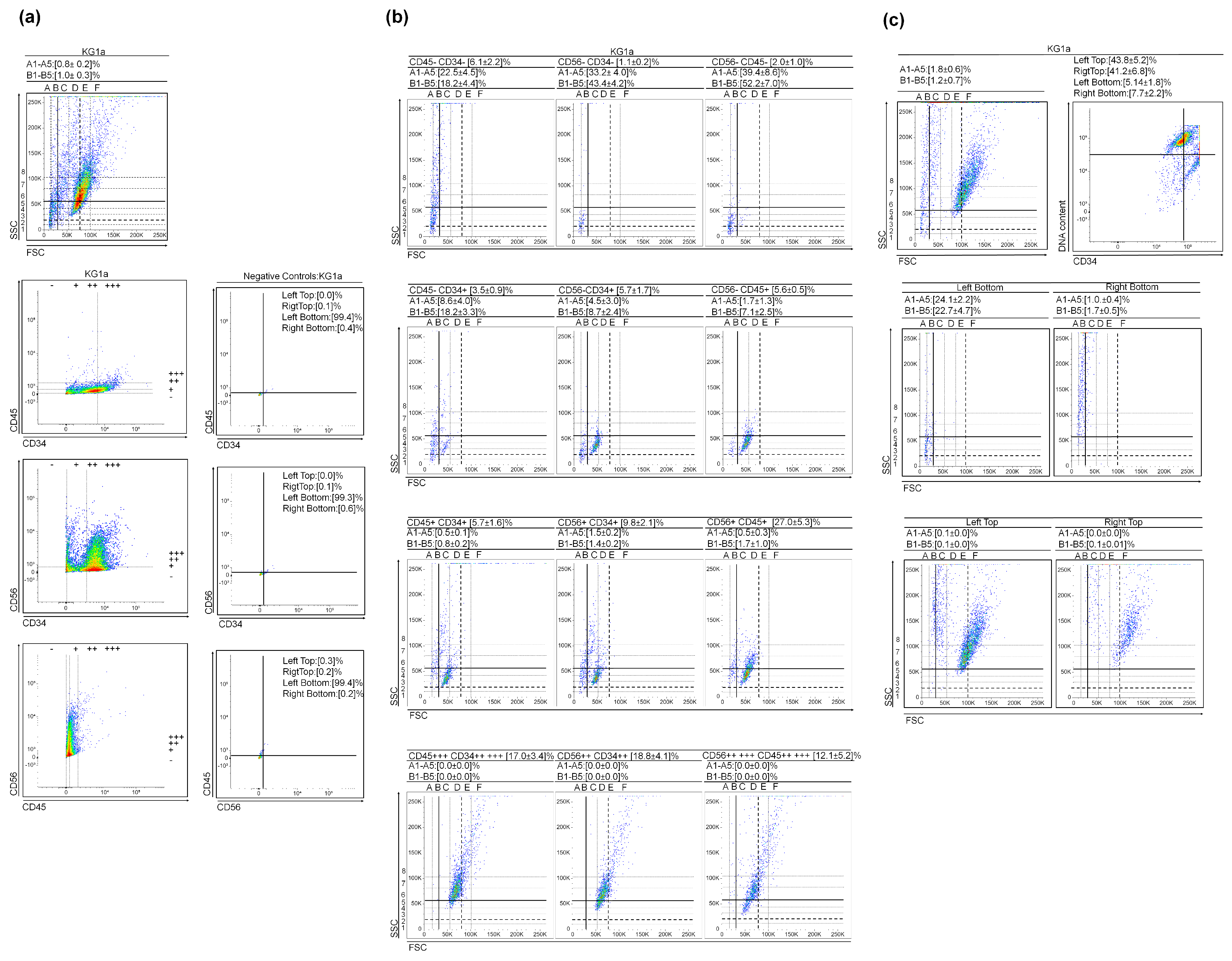 Cancers 15 05520 g001