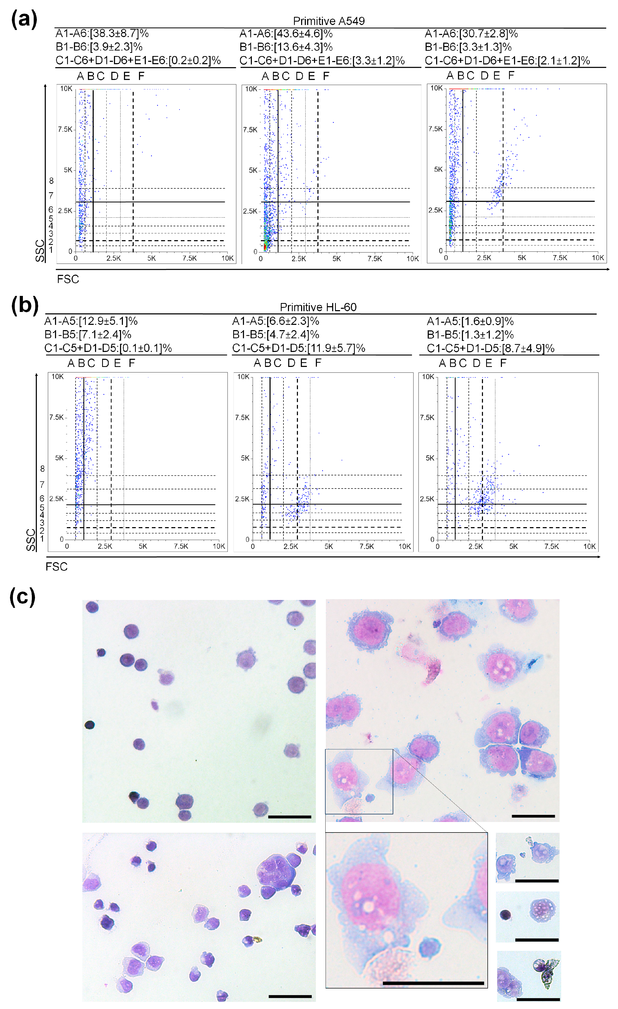 Cancers 15 05520 g005