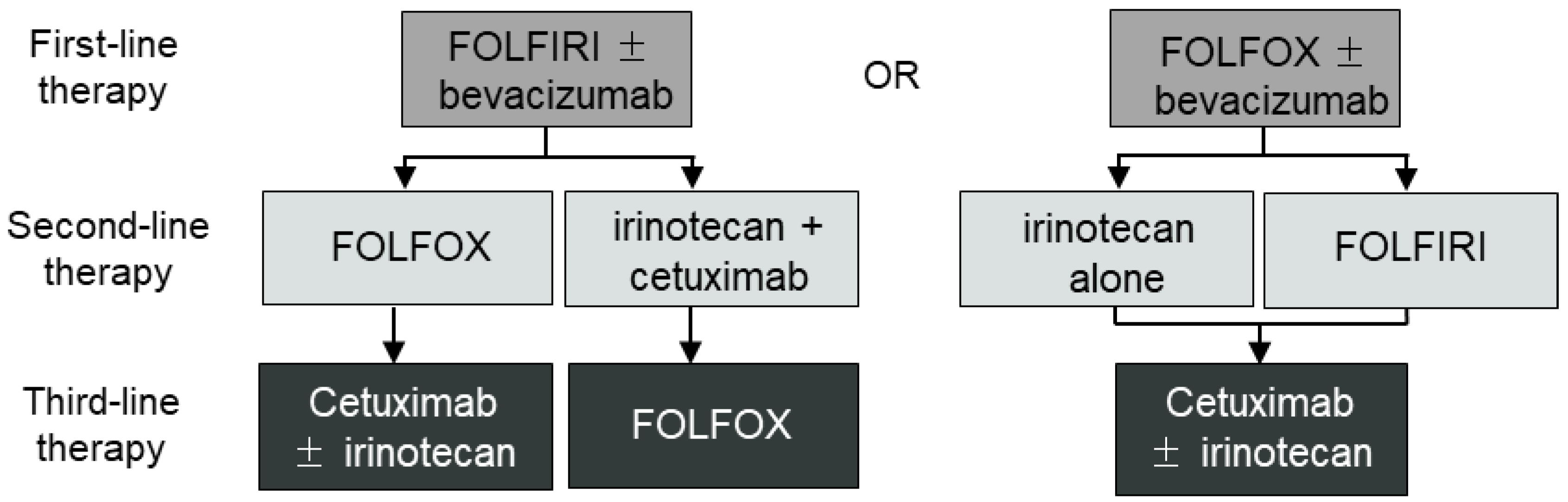 Cancers 15 05531 g001