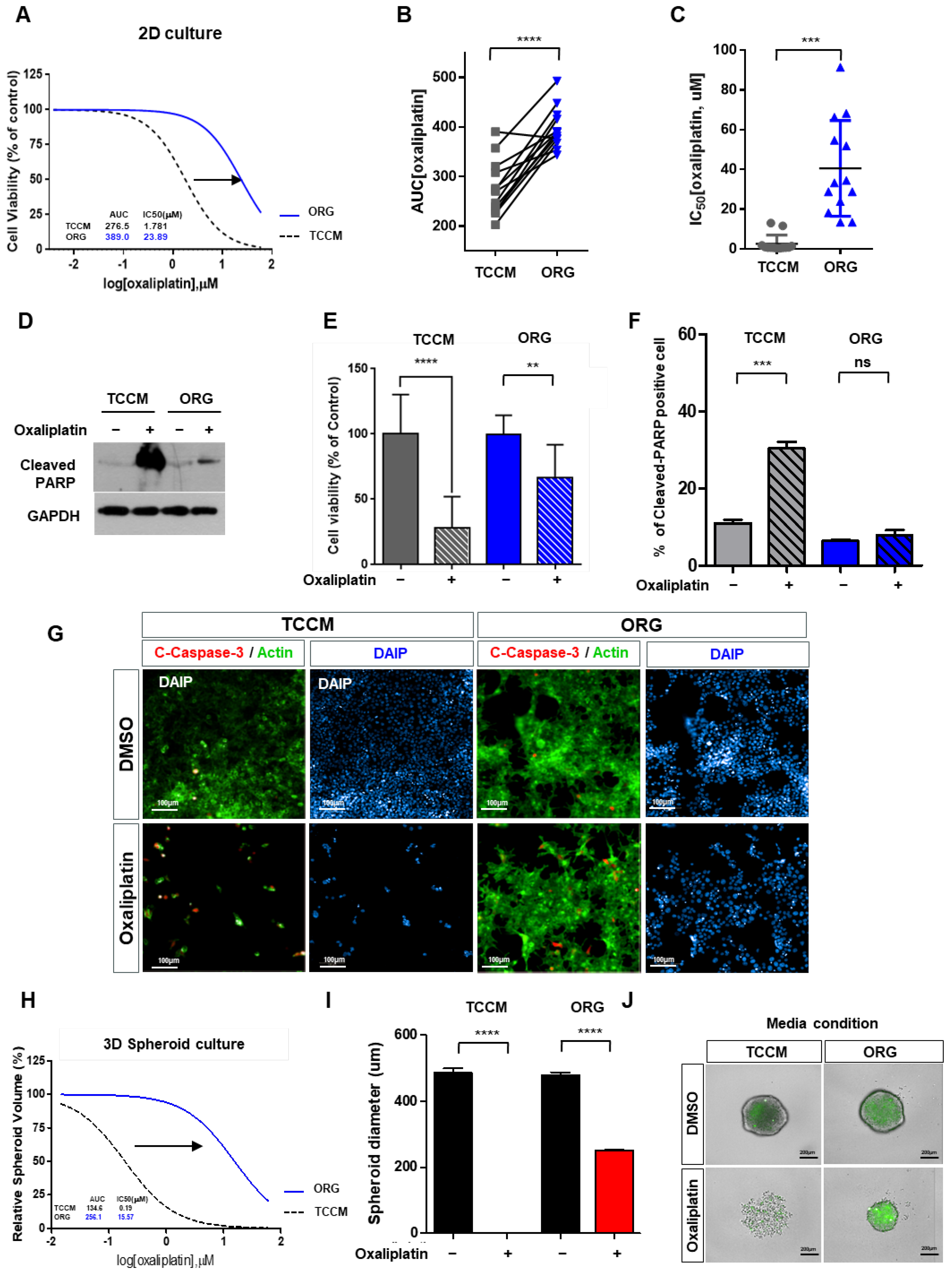 Cancers 15 05531 g003
