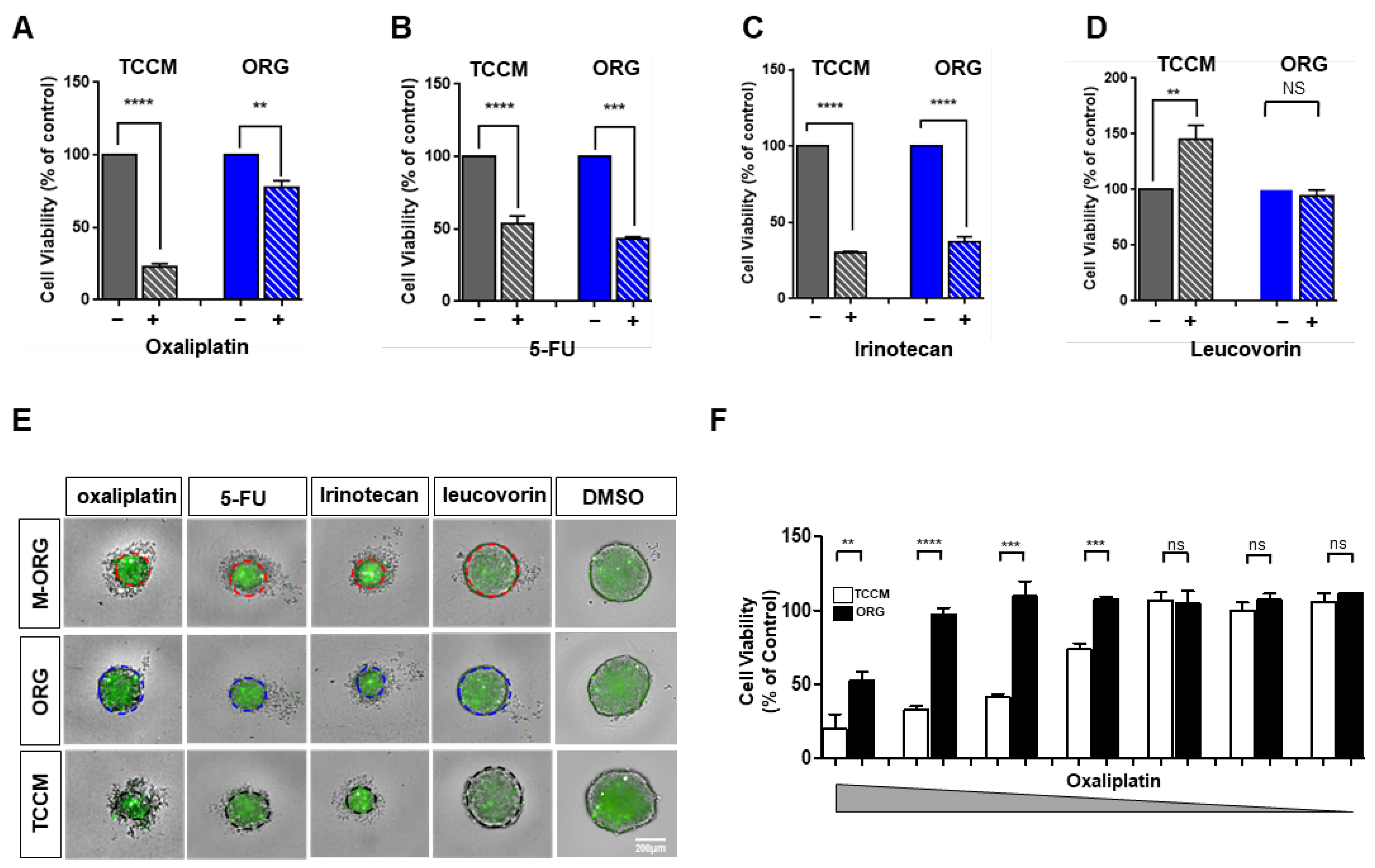 Cancers 15 05531 g004
