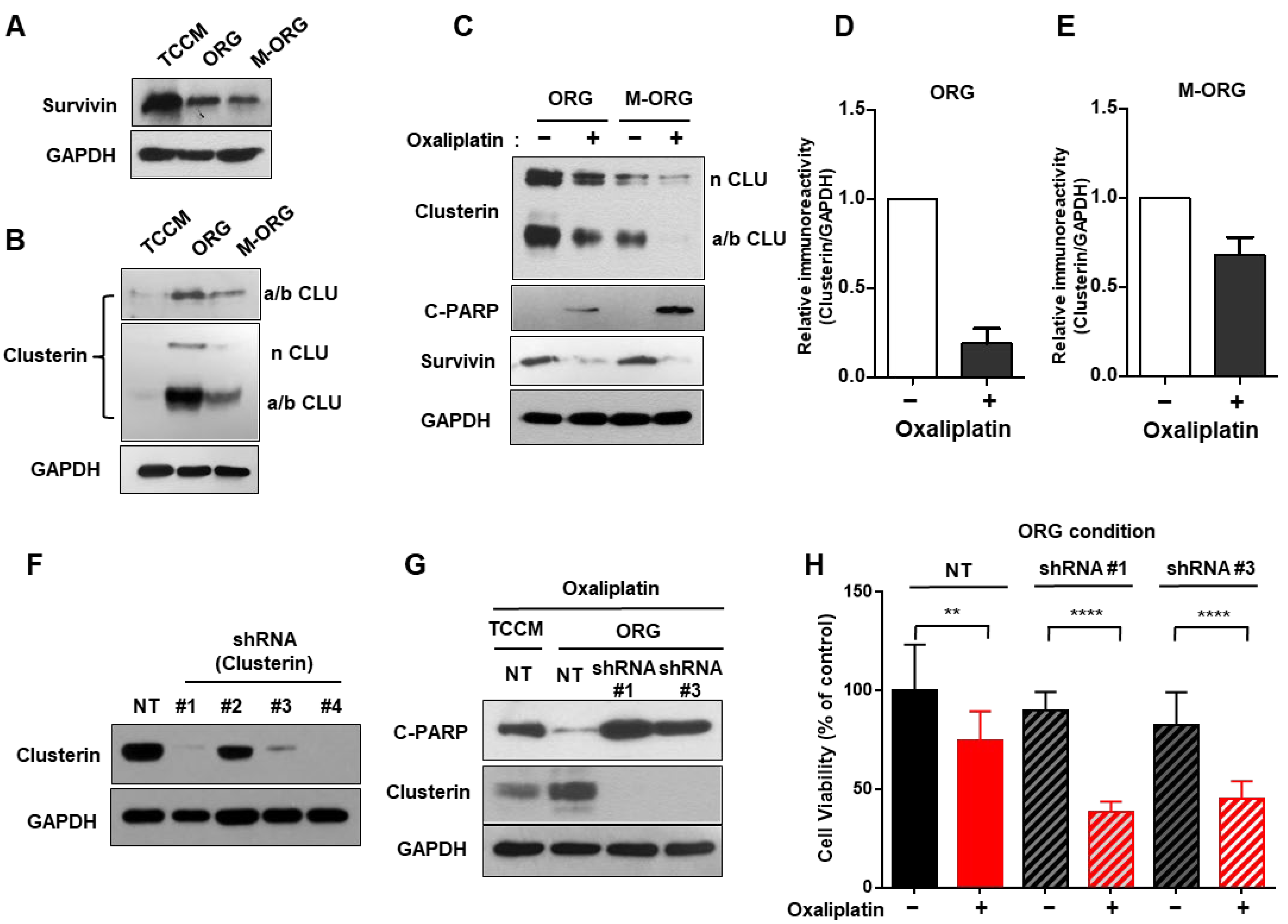 Cancers 15 05531 g006