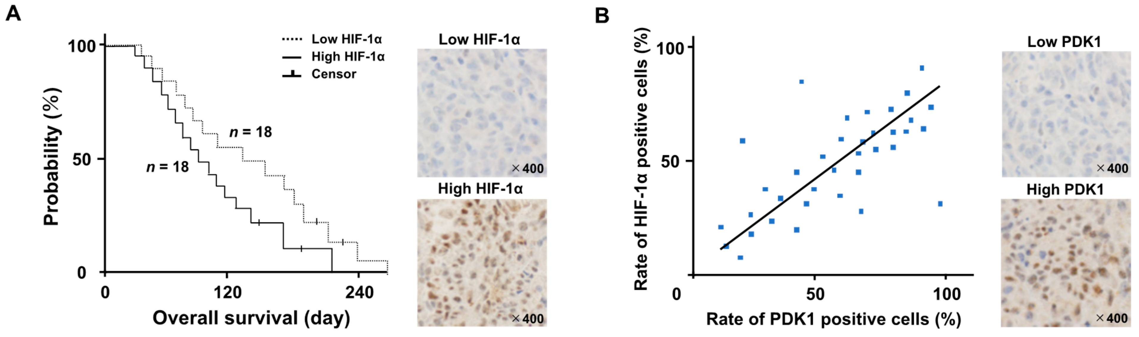 Cancers 15 05537 g001