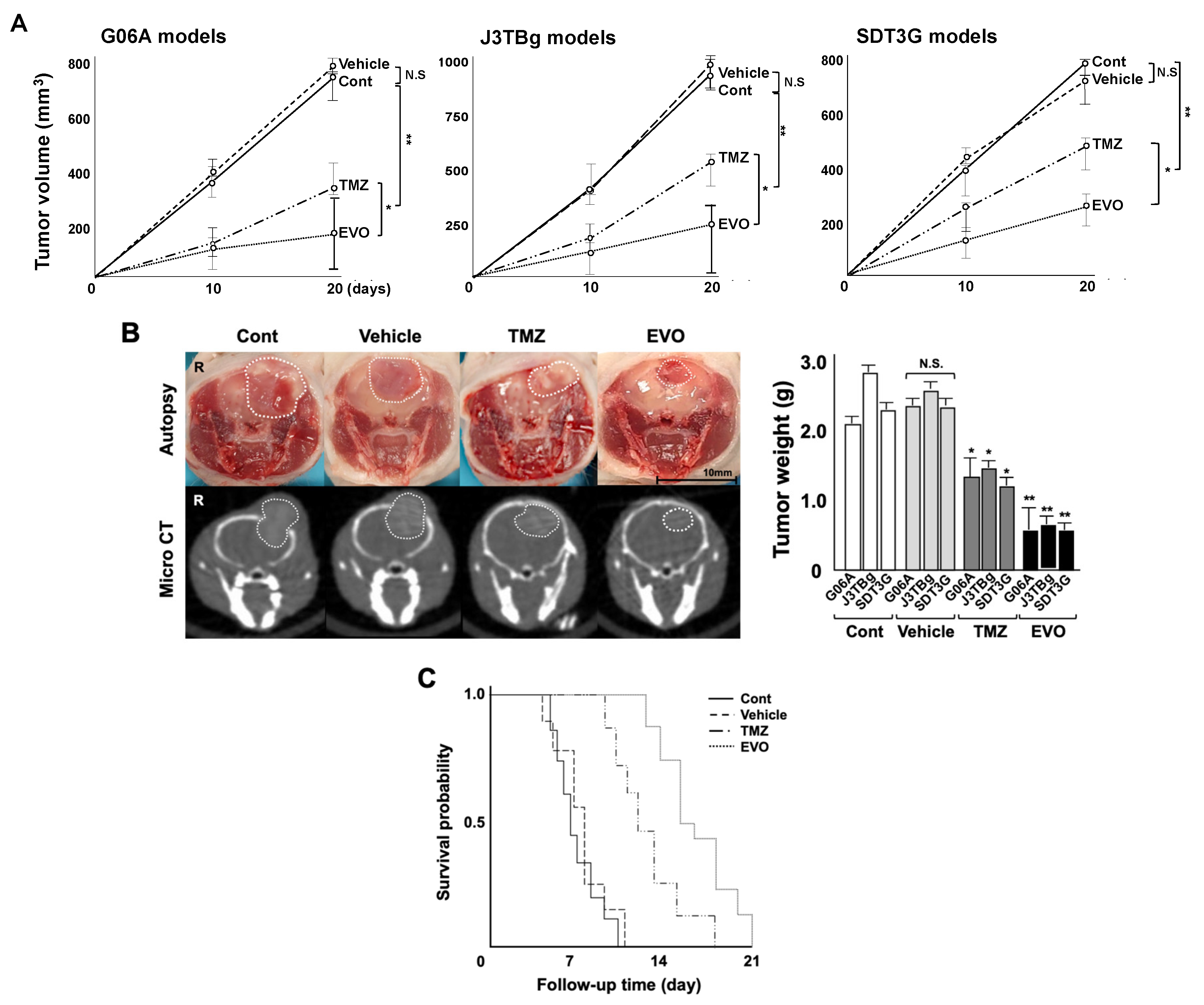 Cancers 15 05537 g005