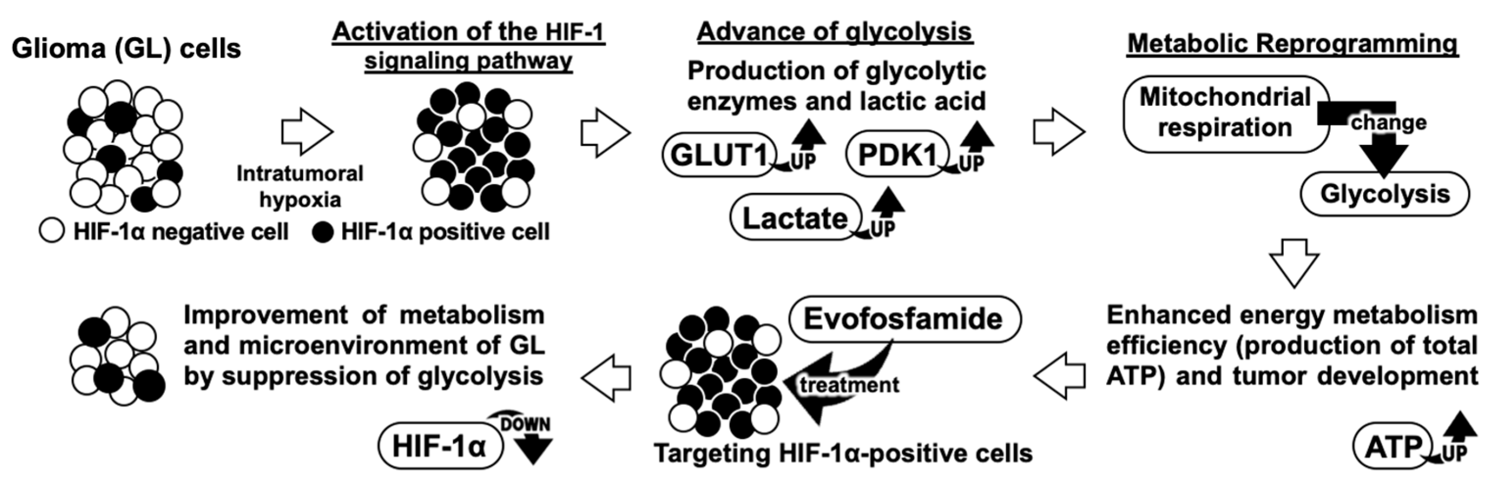 Cancers 15 05537 g008