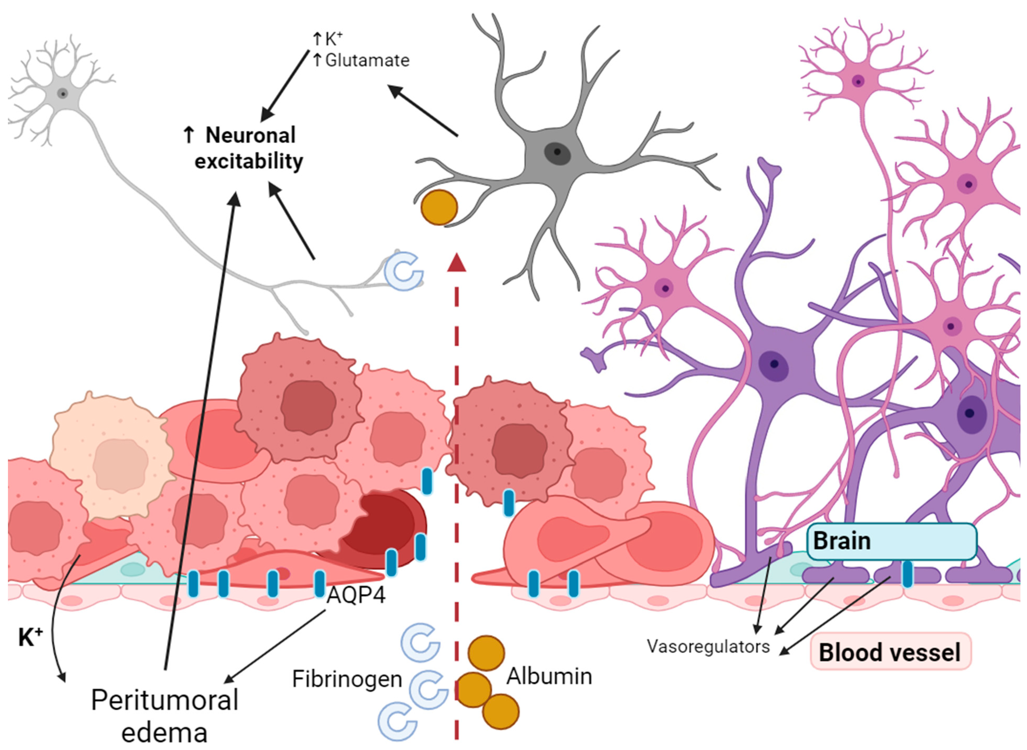 Cancers 15 05539 g002