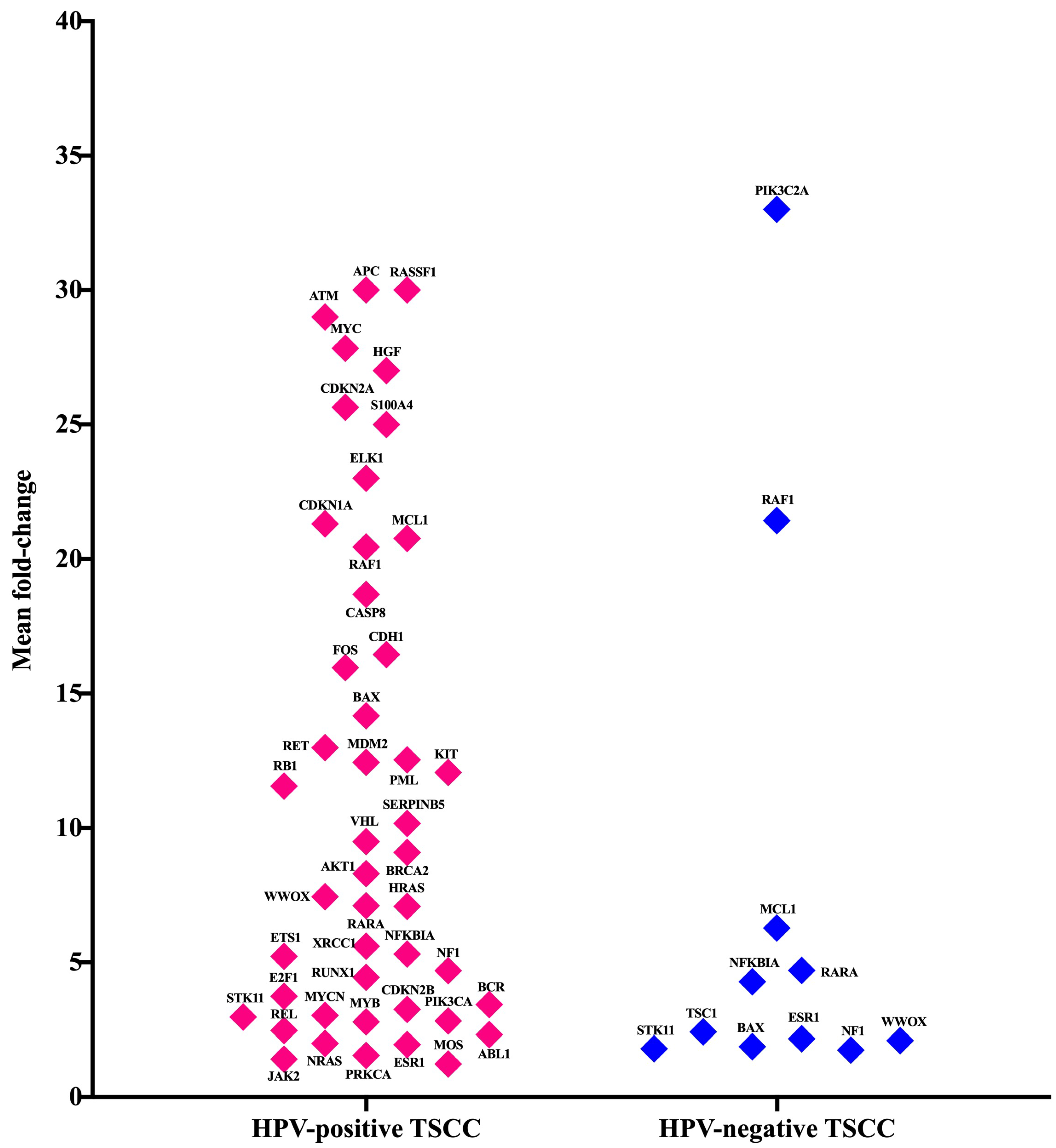 Cancers 15 05548 g003