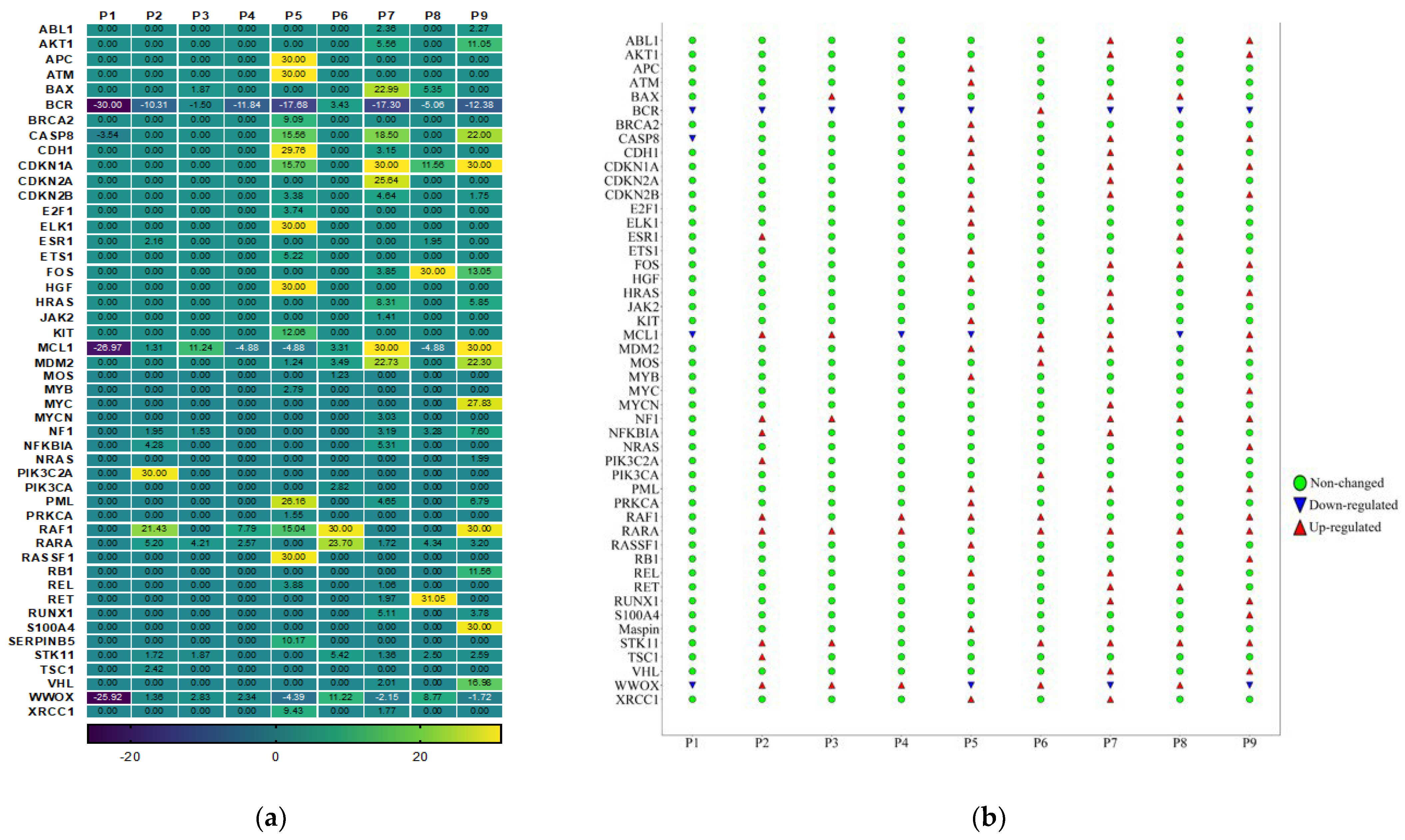 Cancers 15 05548 g004