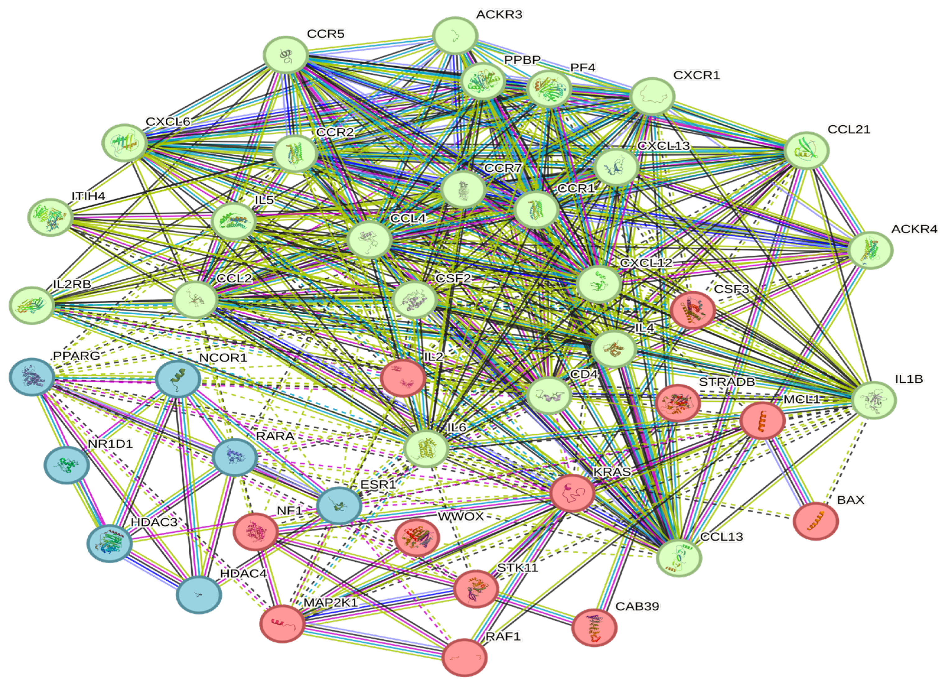 Cancers 15 05548 g005