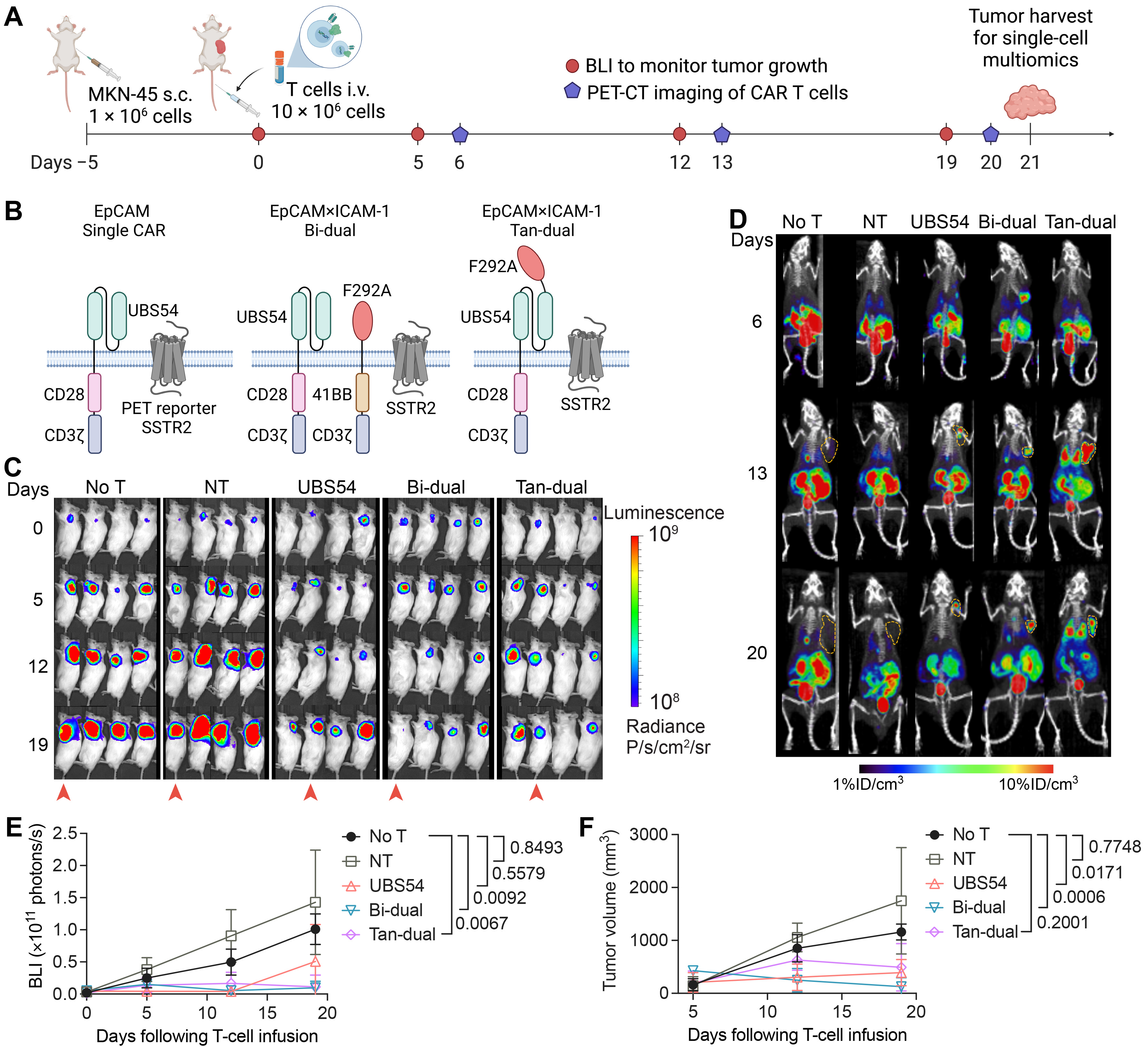 Cancers 15 05552 g001