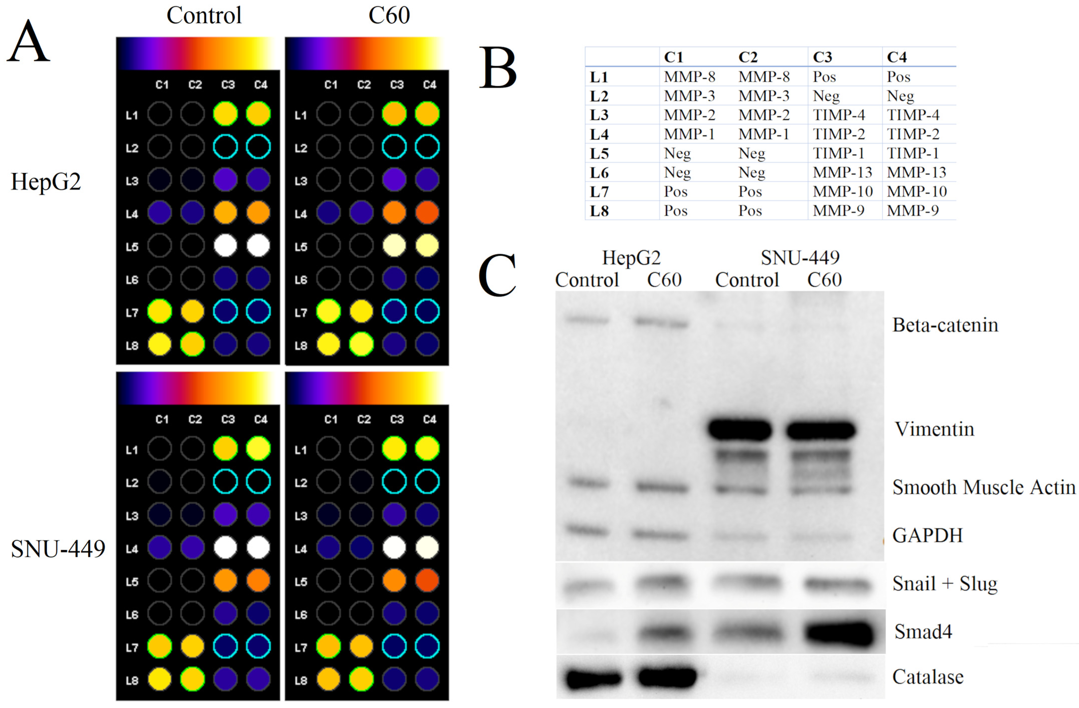 Cancers 15 05553 g006