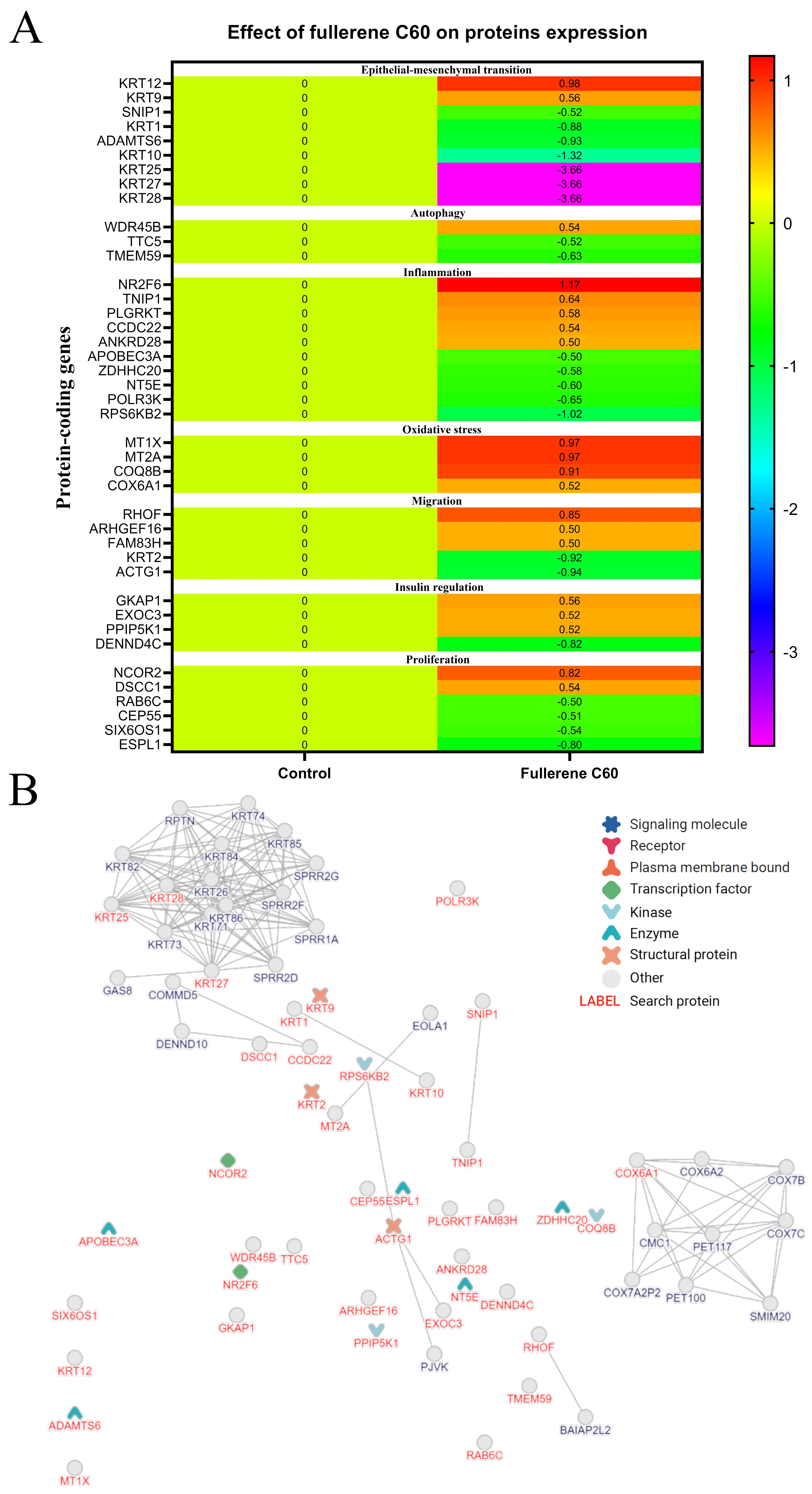 Cancers 15 05553 g009