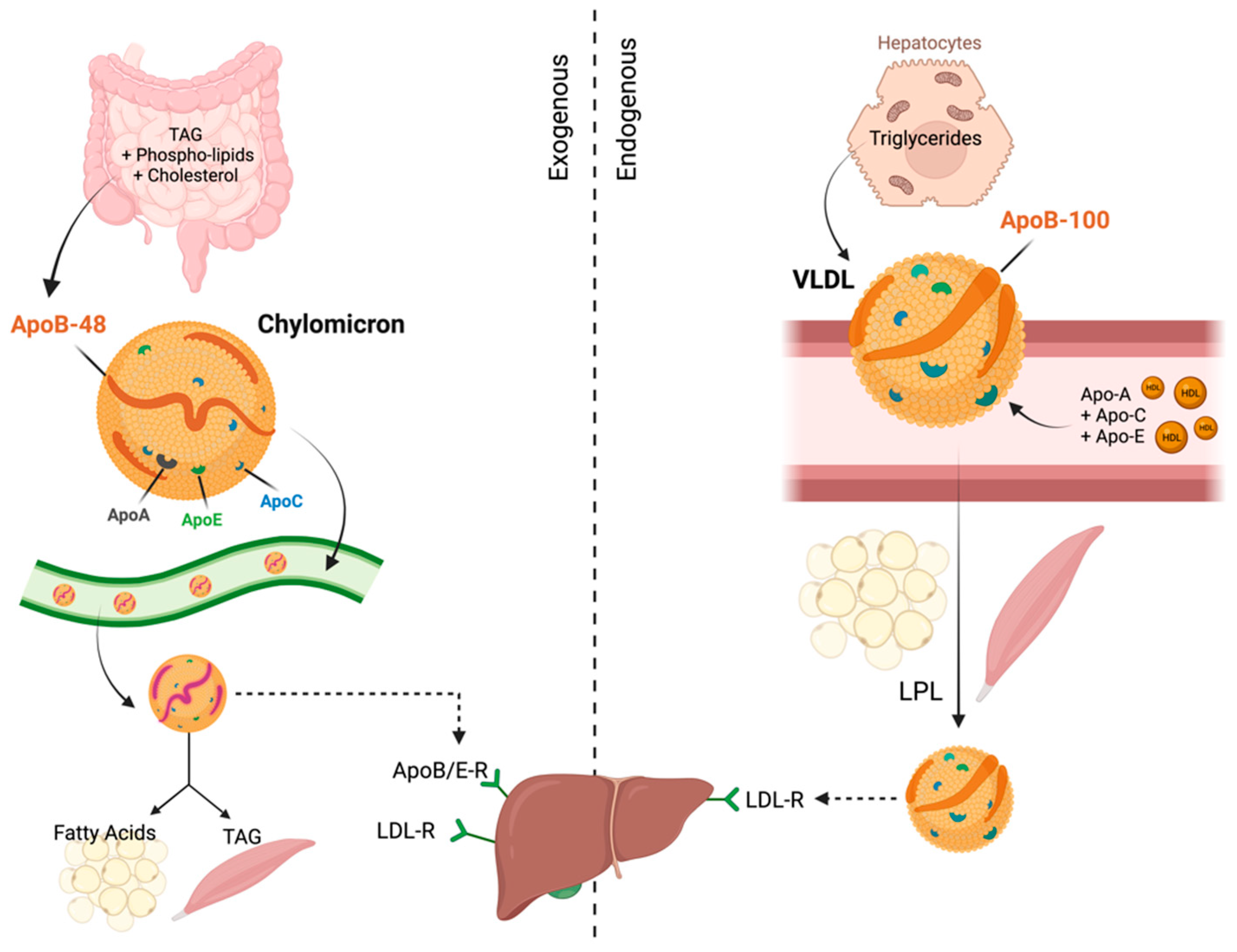 Cancers 15 05565 g002 Cancers 15 05565 g002