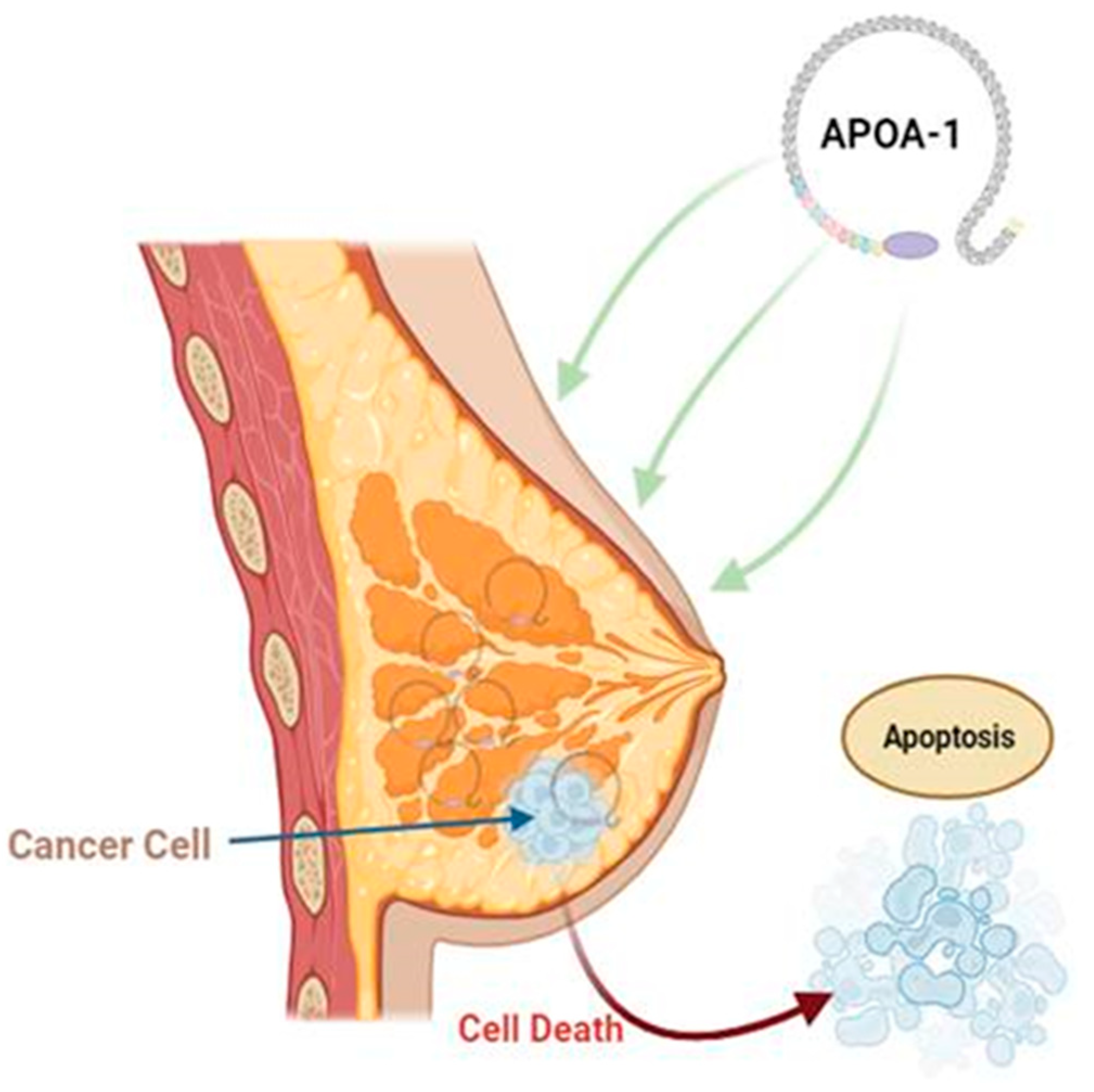 Cancers 15 05565 g003 Cancers 15 05565 g003