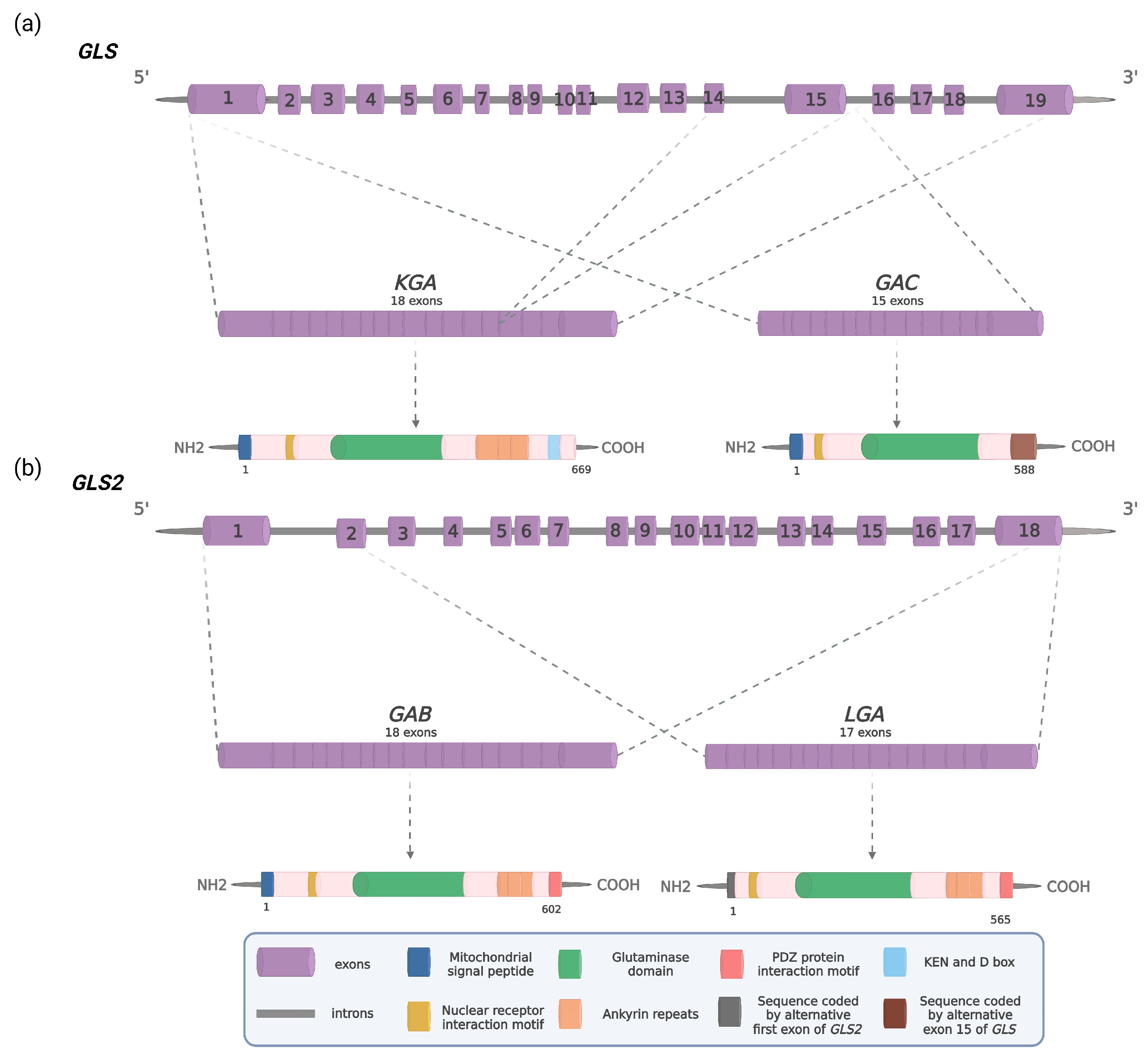 Cancers 15 05566 g001