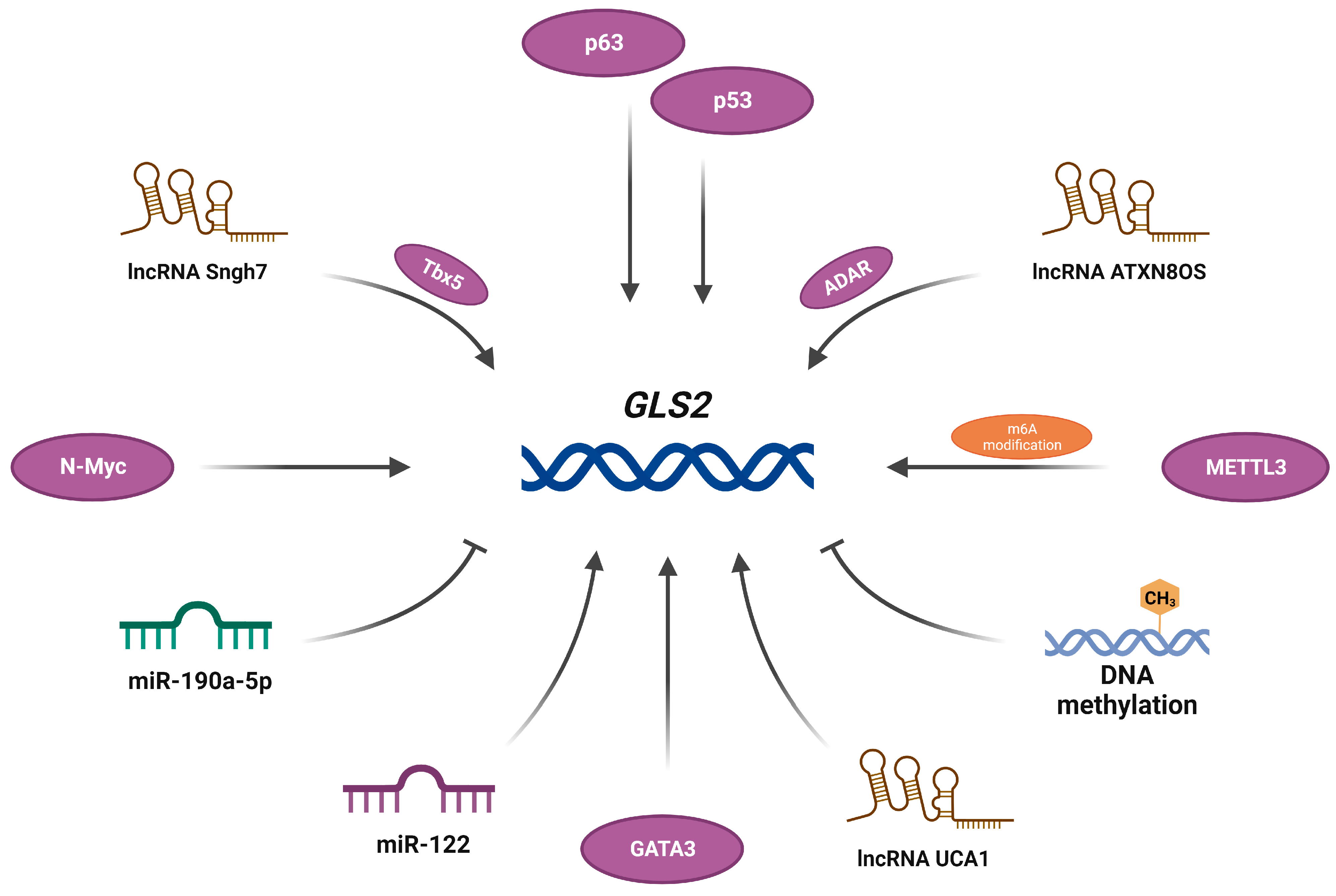 Cancers 15 05566 g002