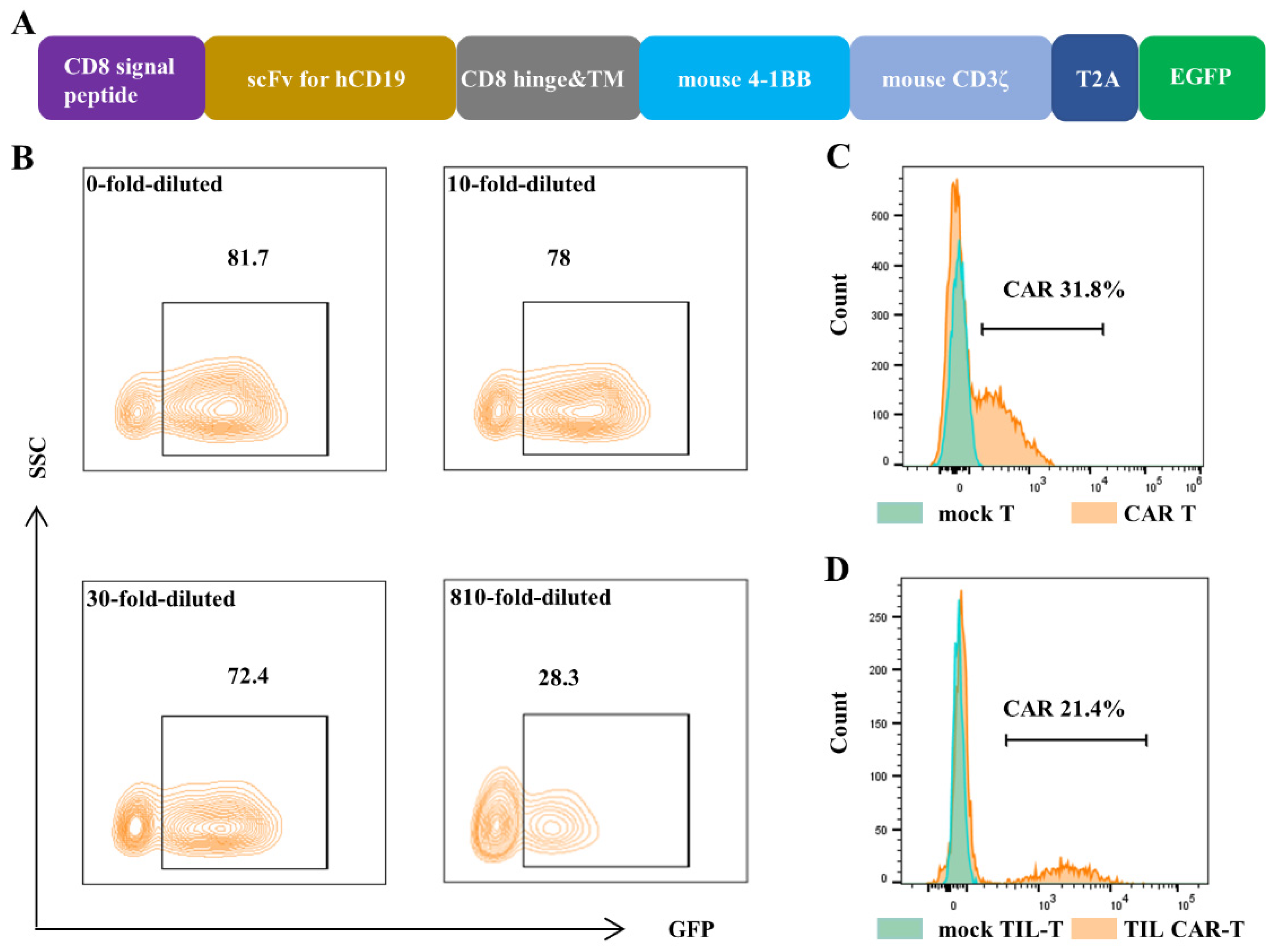 Cancers 15 05567 g001 Cancers 15 05567 g001
