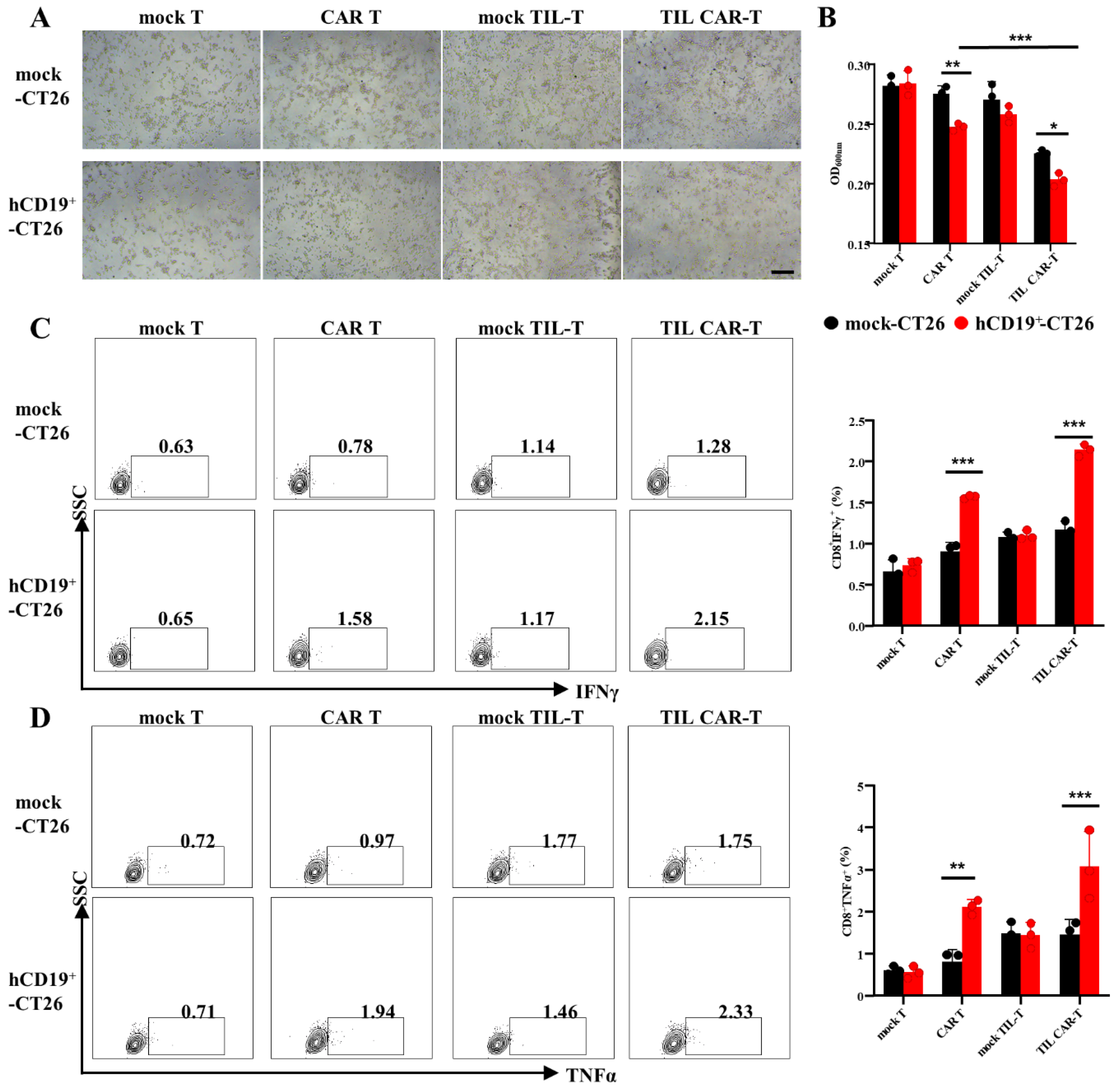 Cancers 15 05567 g002 Cancers 15 05567 g002