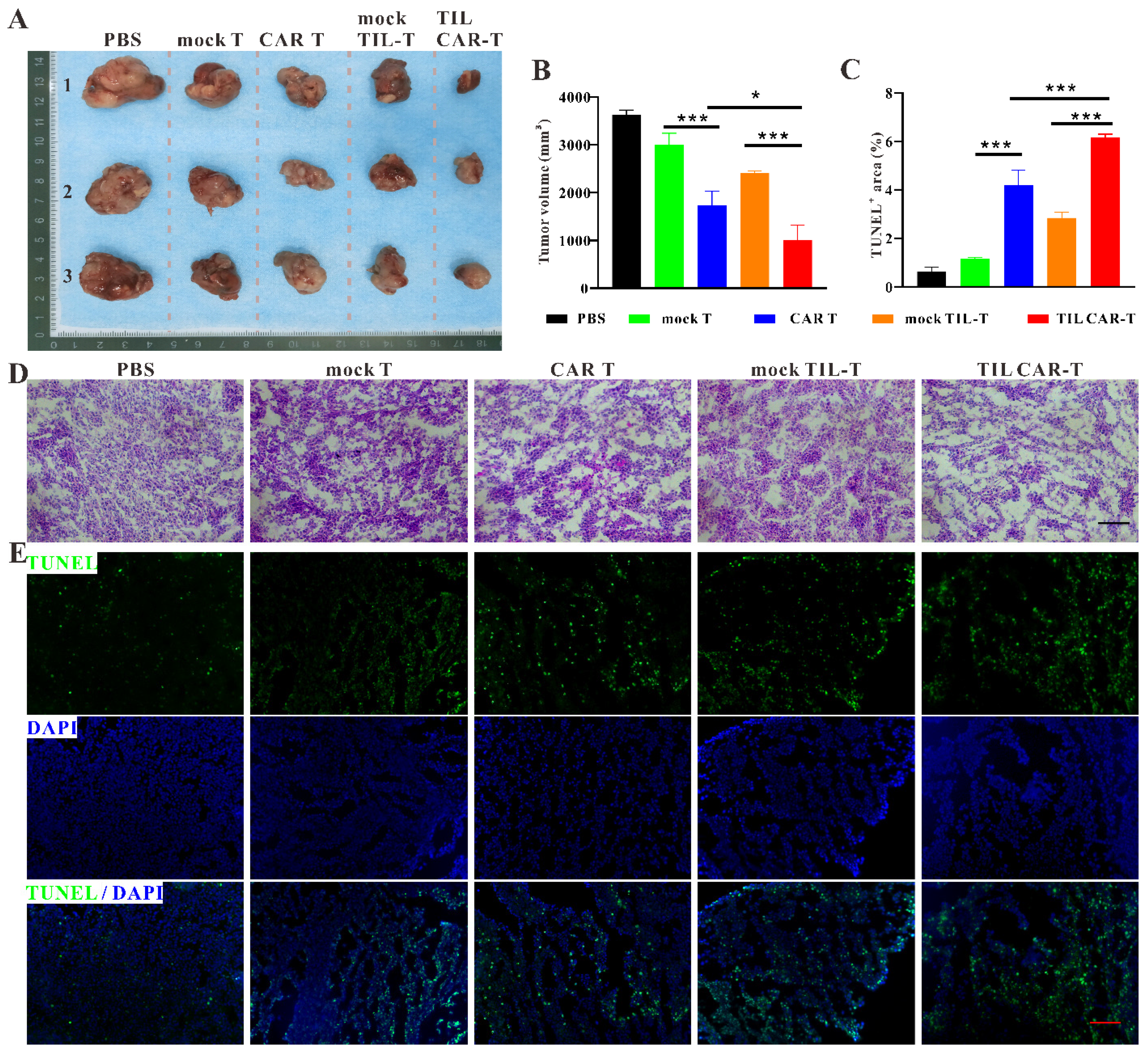 Cancers 15 05567 g003 Cancers 15 05567 g003