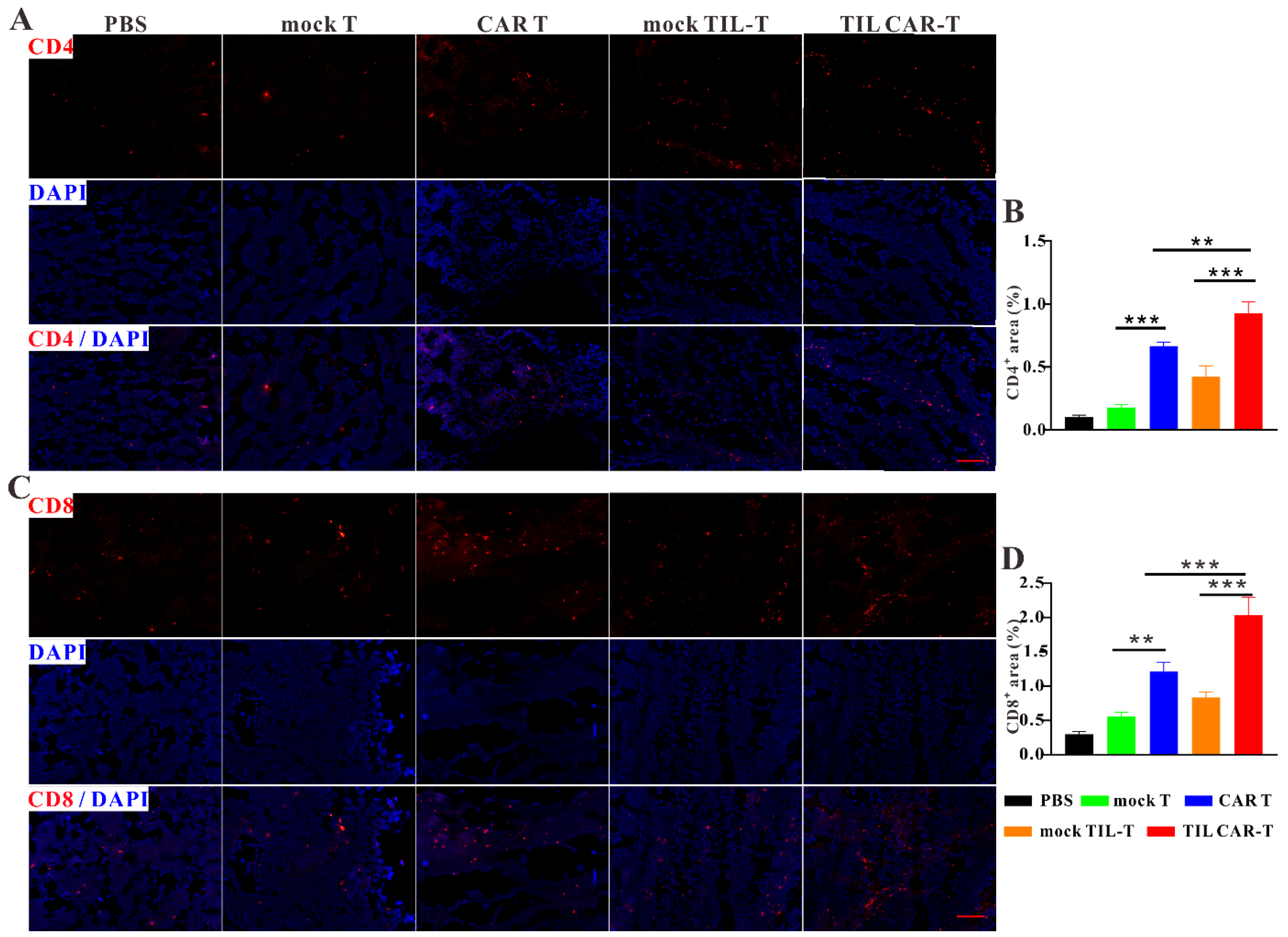 Cancers 15 05567 g004 Cancers 15 05567 g004