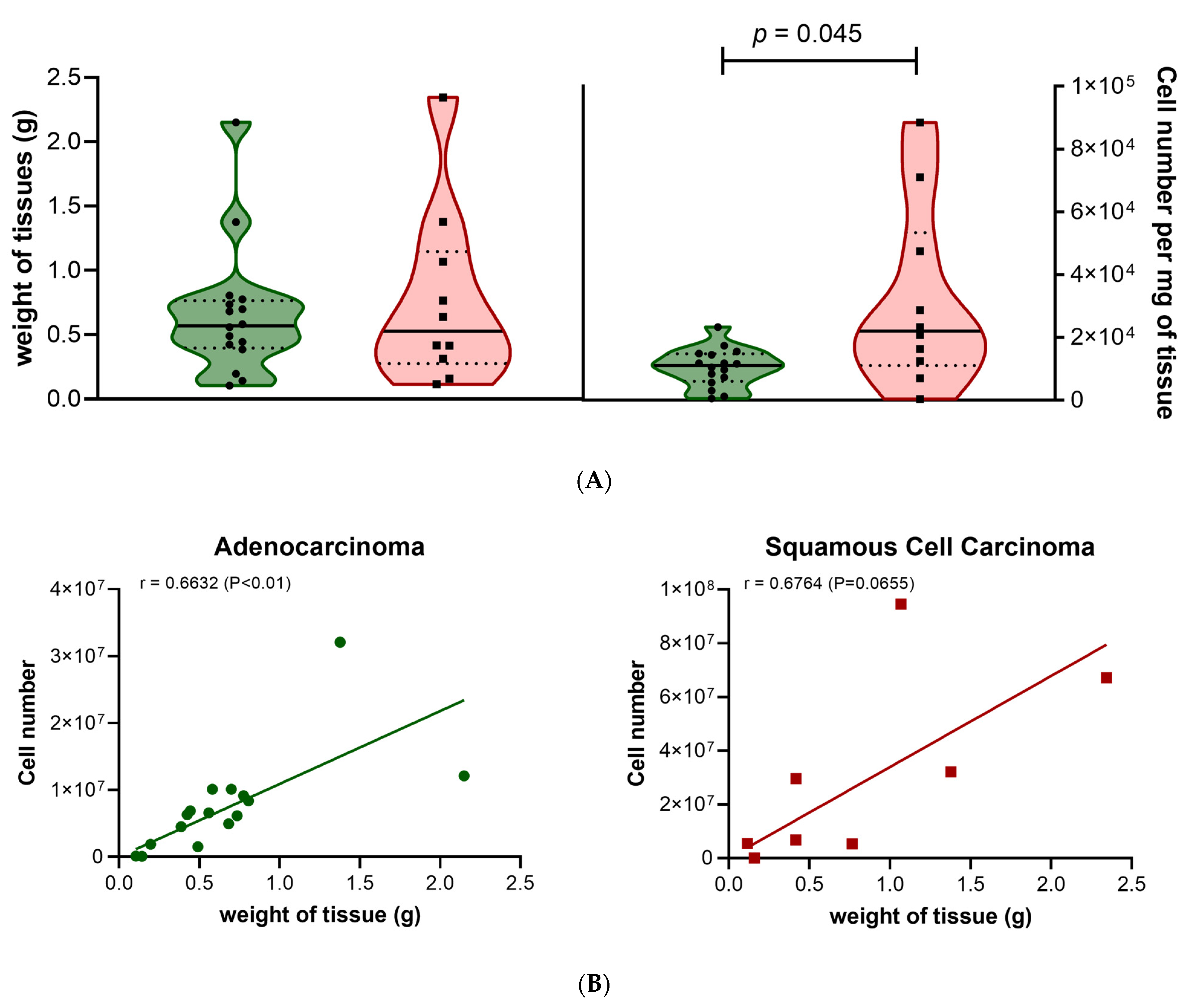 Cancers 15 05576 g001a