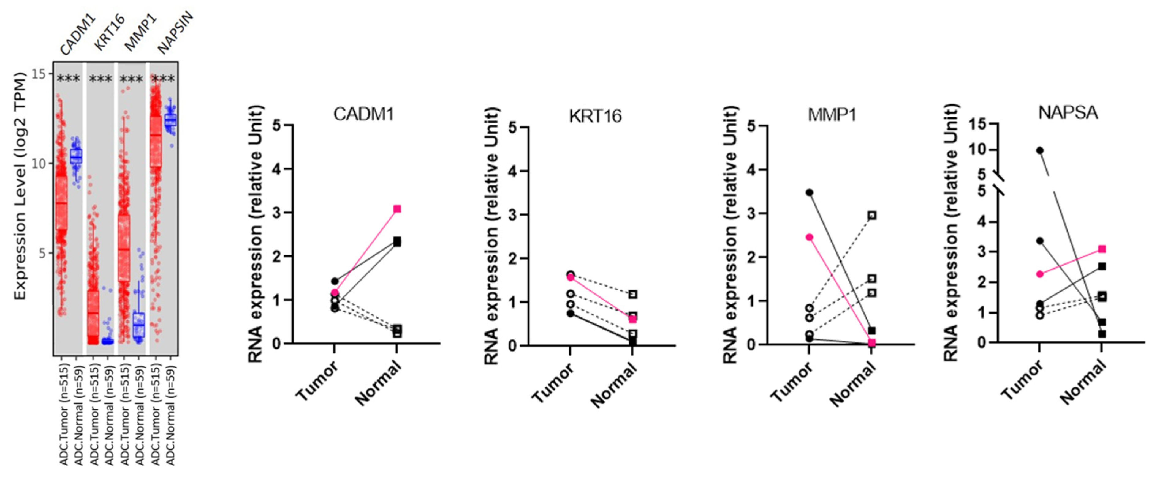 Cancers 15 05576 g005