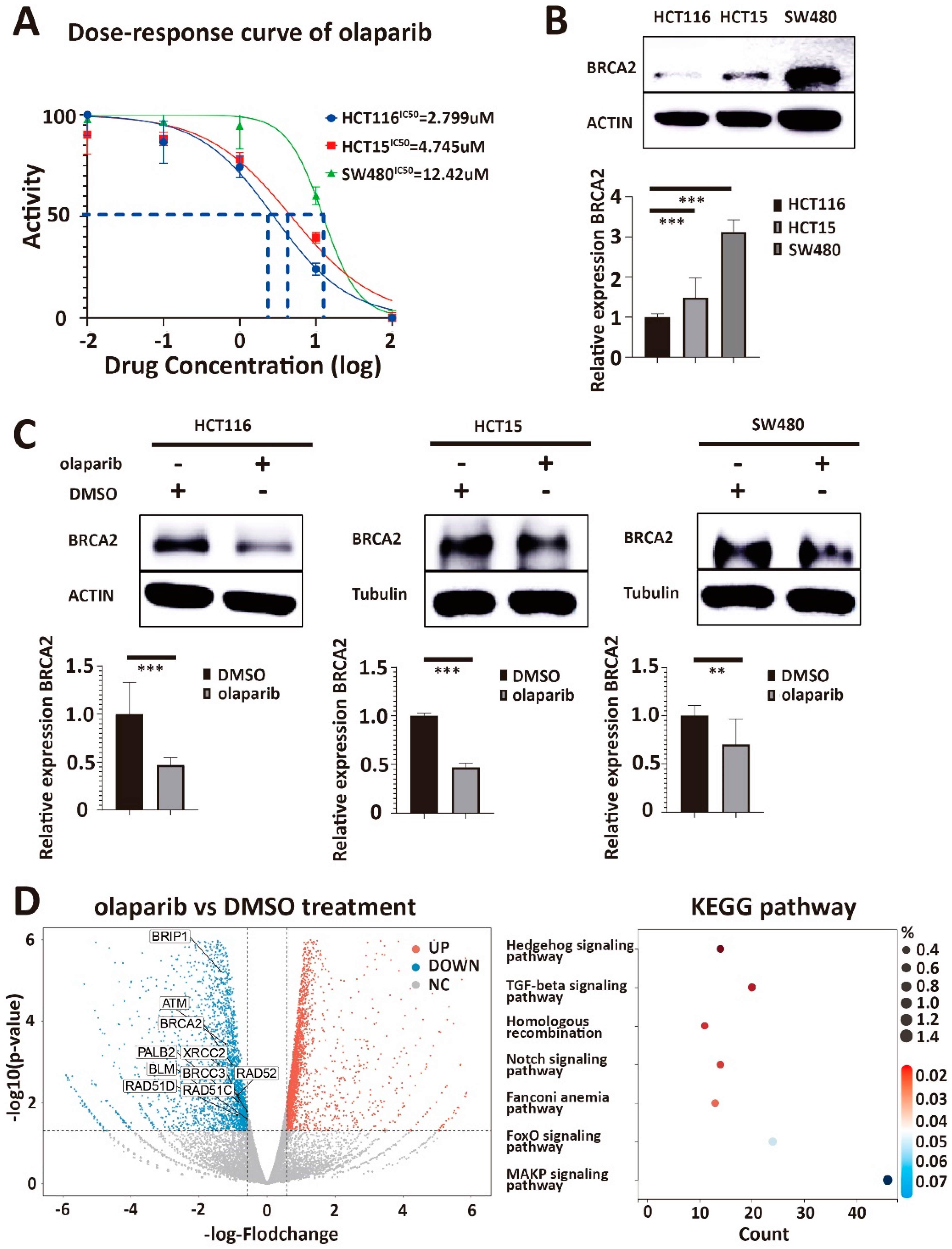 Cancers 15 05580 g001